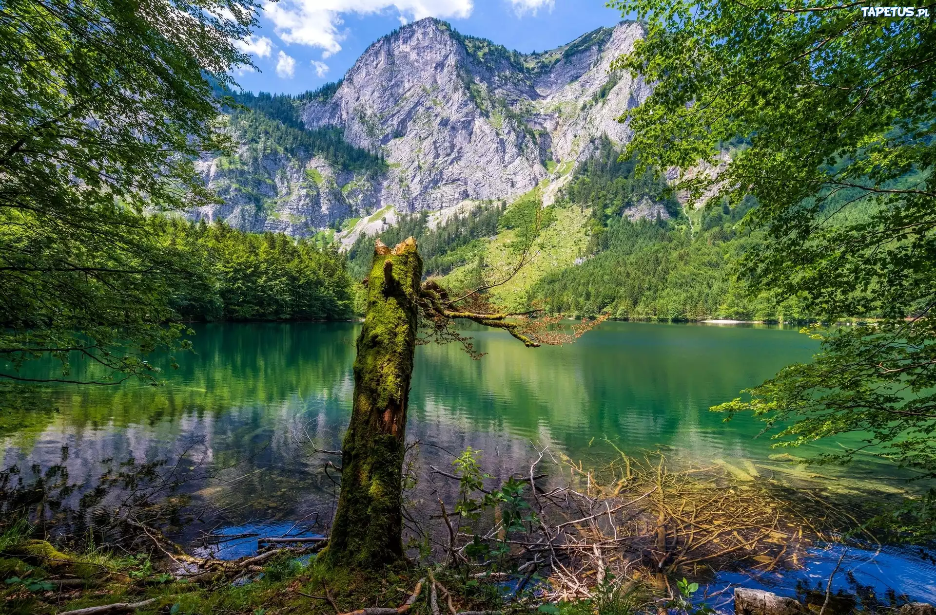 Góry, Jezioro, Drzewa
