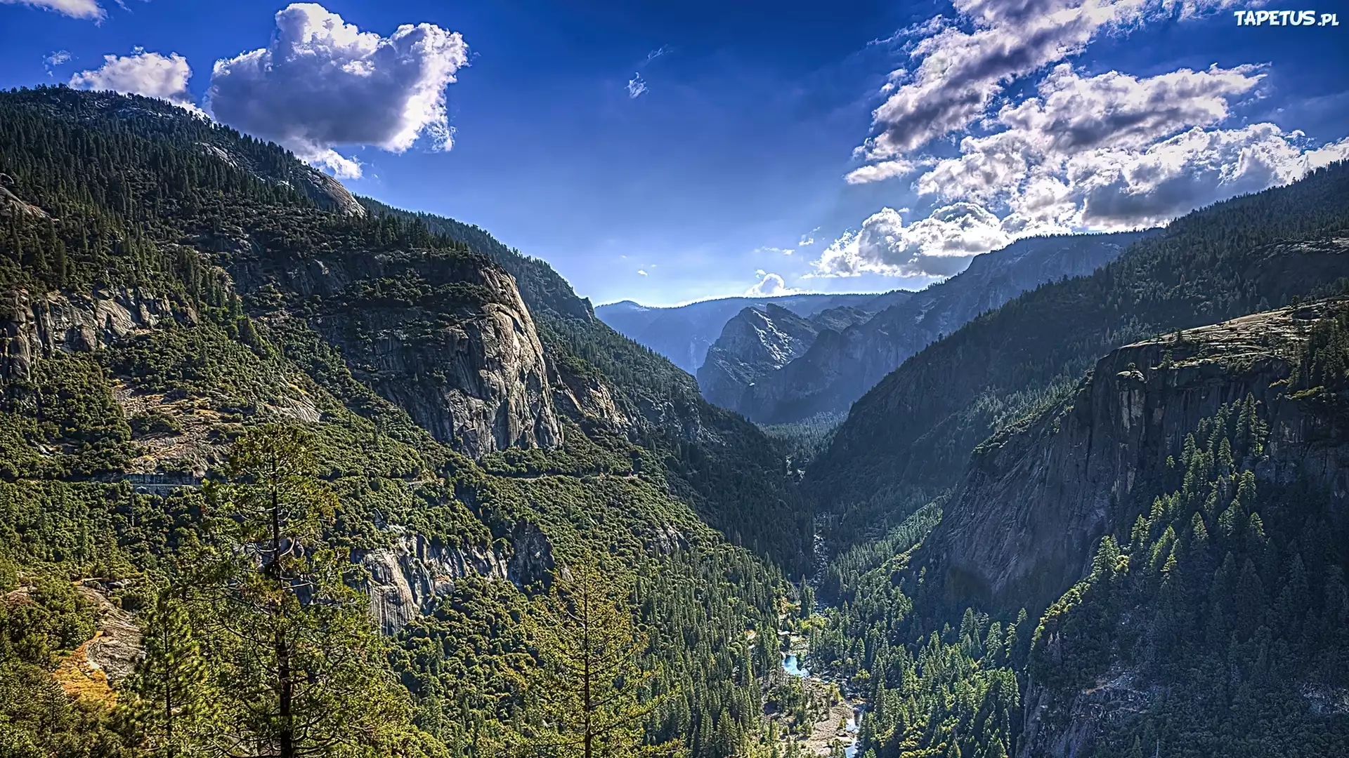 Park, Narodowy, Yosemite, Rzeka, Góry, Las