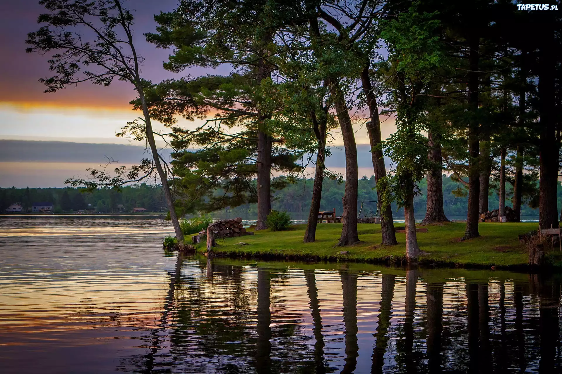 Видео на берегу озера. Лейк Дэлтон Висконсин. Озеро Селигер Сосновый Бор. Штат Висконсин природа. Висконсин озера.