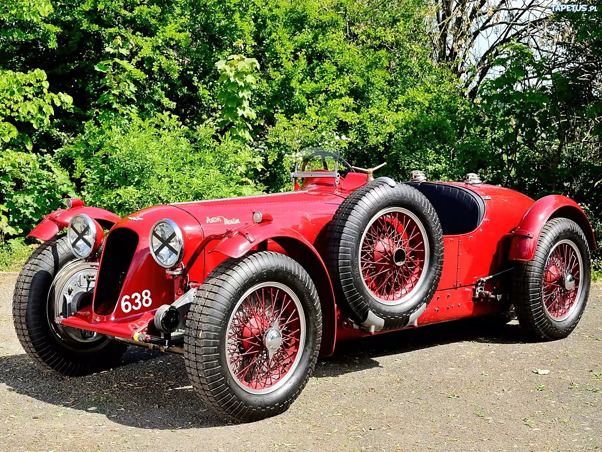 Retro, Aston, Martin, 1939, Roślinność