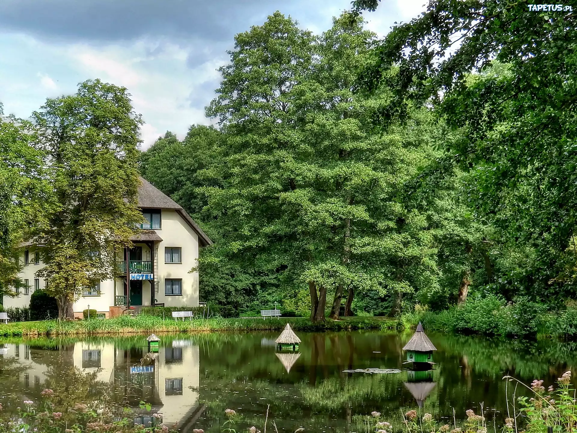 Hotel, Park, Staw