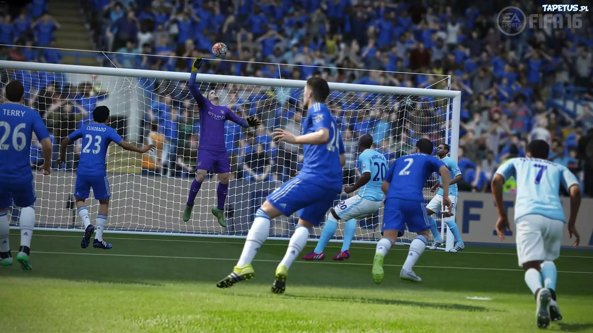 Fifa 2016, Mecz, Zawodnicy, Siatka
