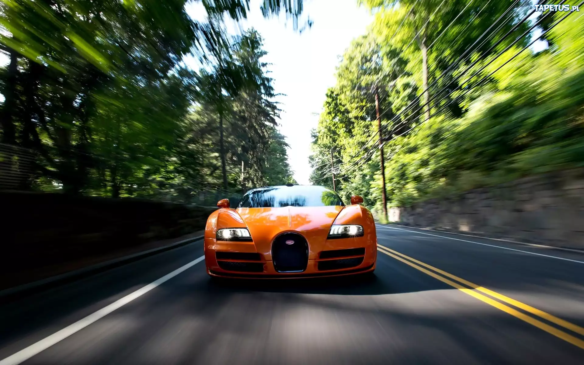 Droga, Las, Bugatti Veyron