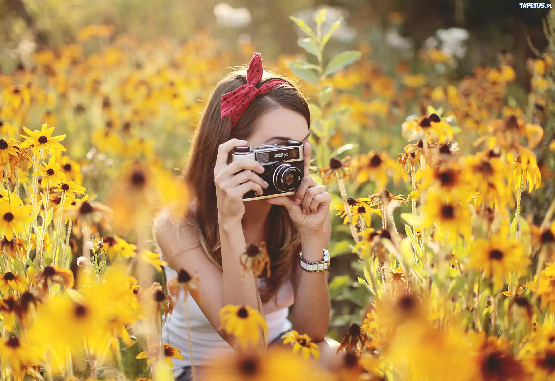 Dziewczyna, Aparat, Fotograficzny, Rudbekie, Rozmyte, Tło