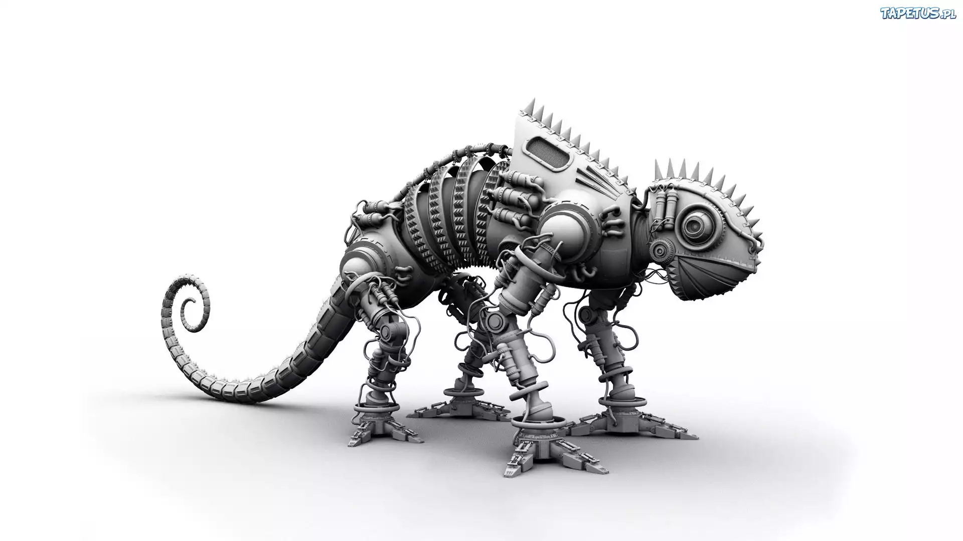 Iguana, 3D