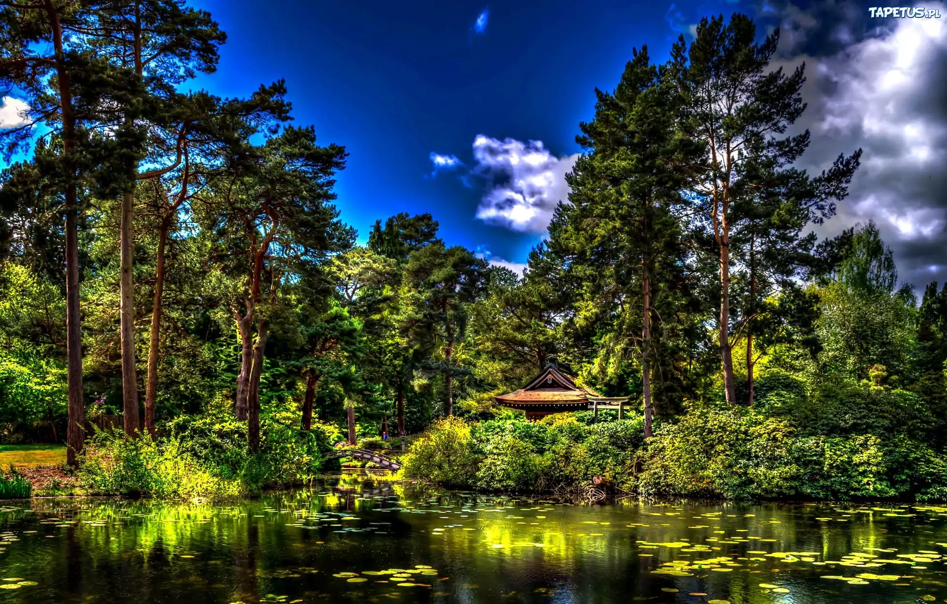 Park, Staw, Mostek, Altana, Anglia