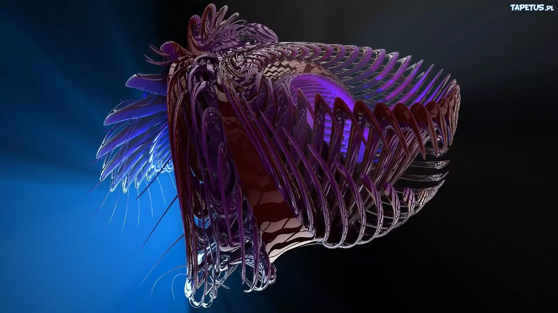 Obcy, 3D