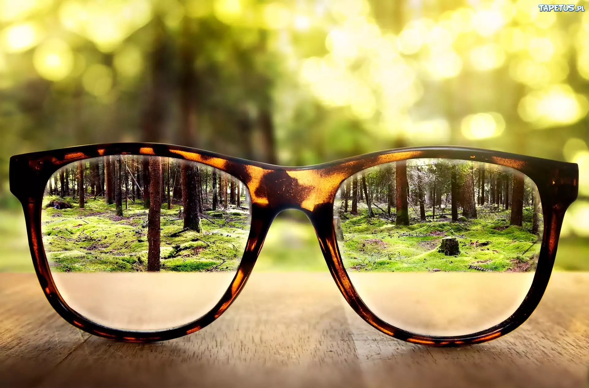 Park, Okulary