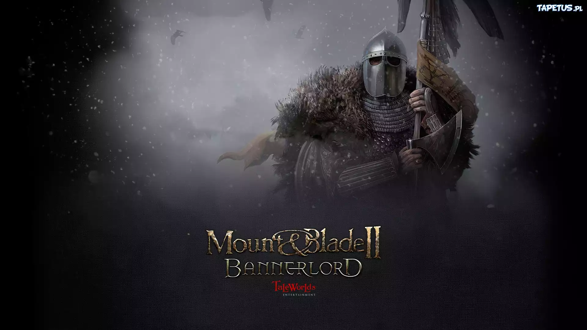 Mount and Blade II Bannerlord, Rycerz, Topór, Zima