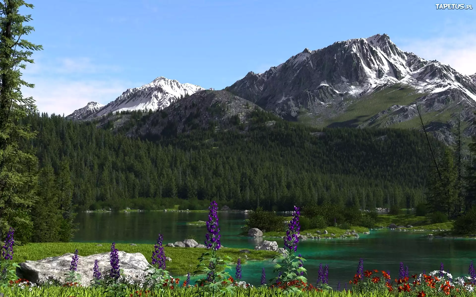 горная речка горы цветы без смс