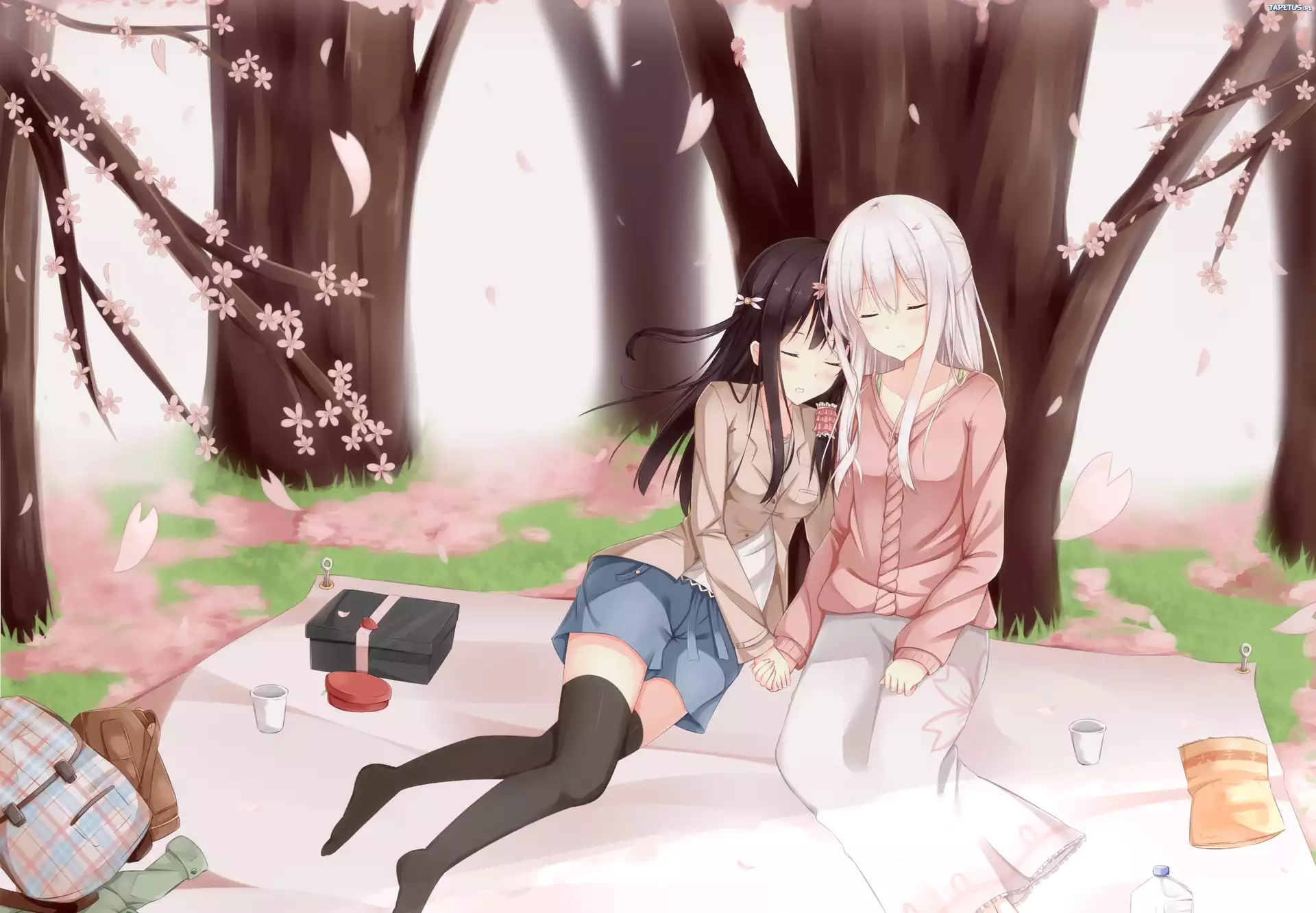 Dwie, Dziewczyny, Drzewa, Piknik, Anime