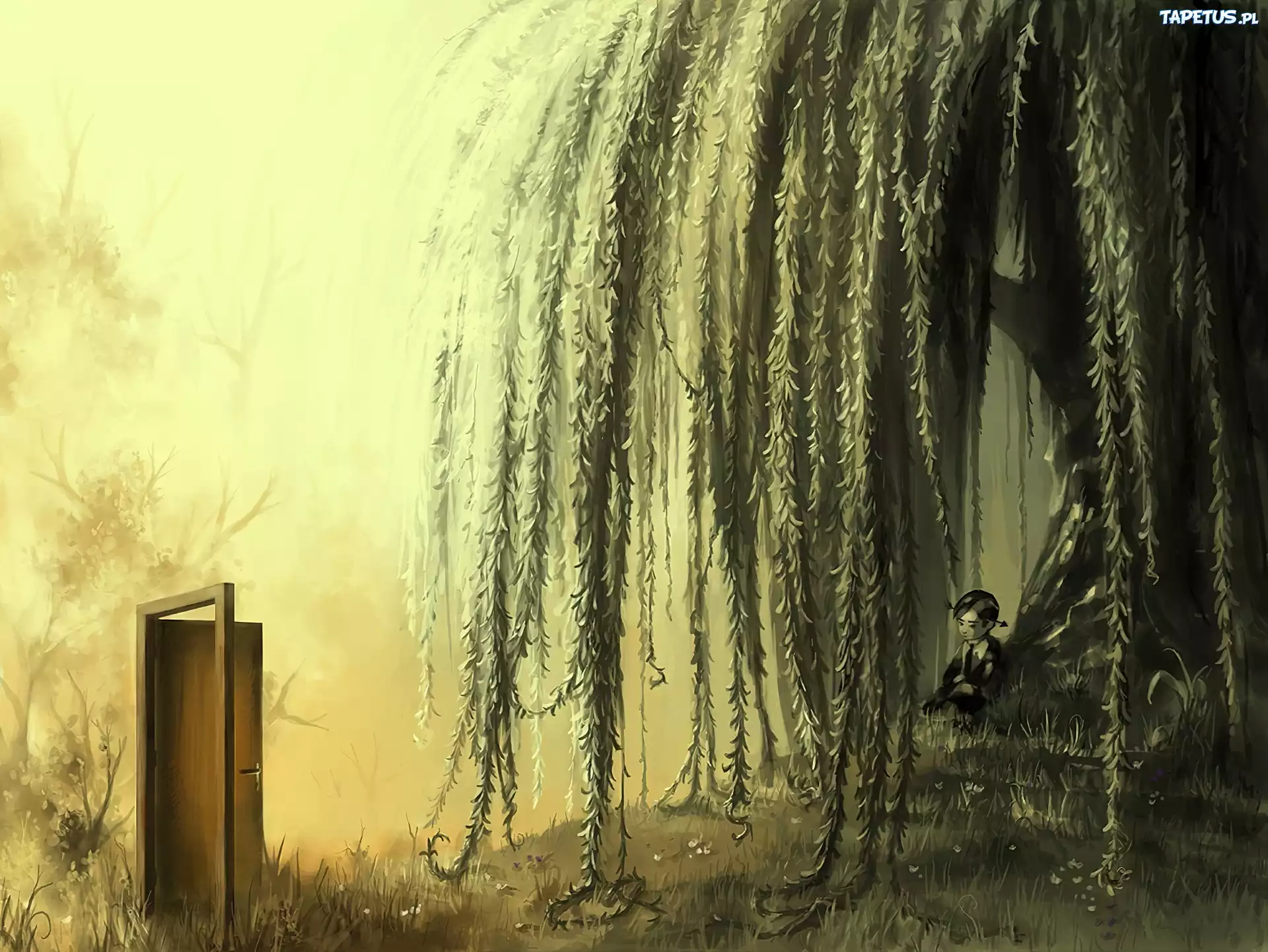 Cyril Rolando, Chłopiec, Drzwi, Drzewo