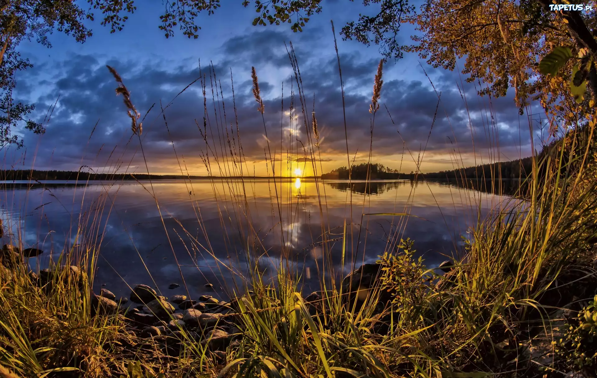 Jezioro, Szuwary, Zachód słońca