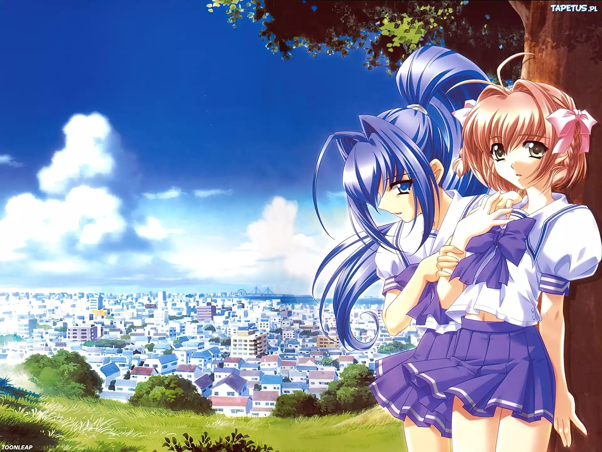 Kimi Ga Nozmu Eien, panorama, kobiety, drzewo