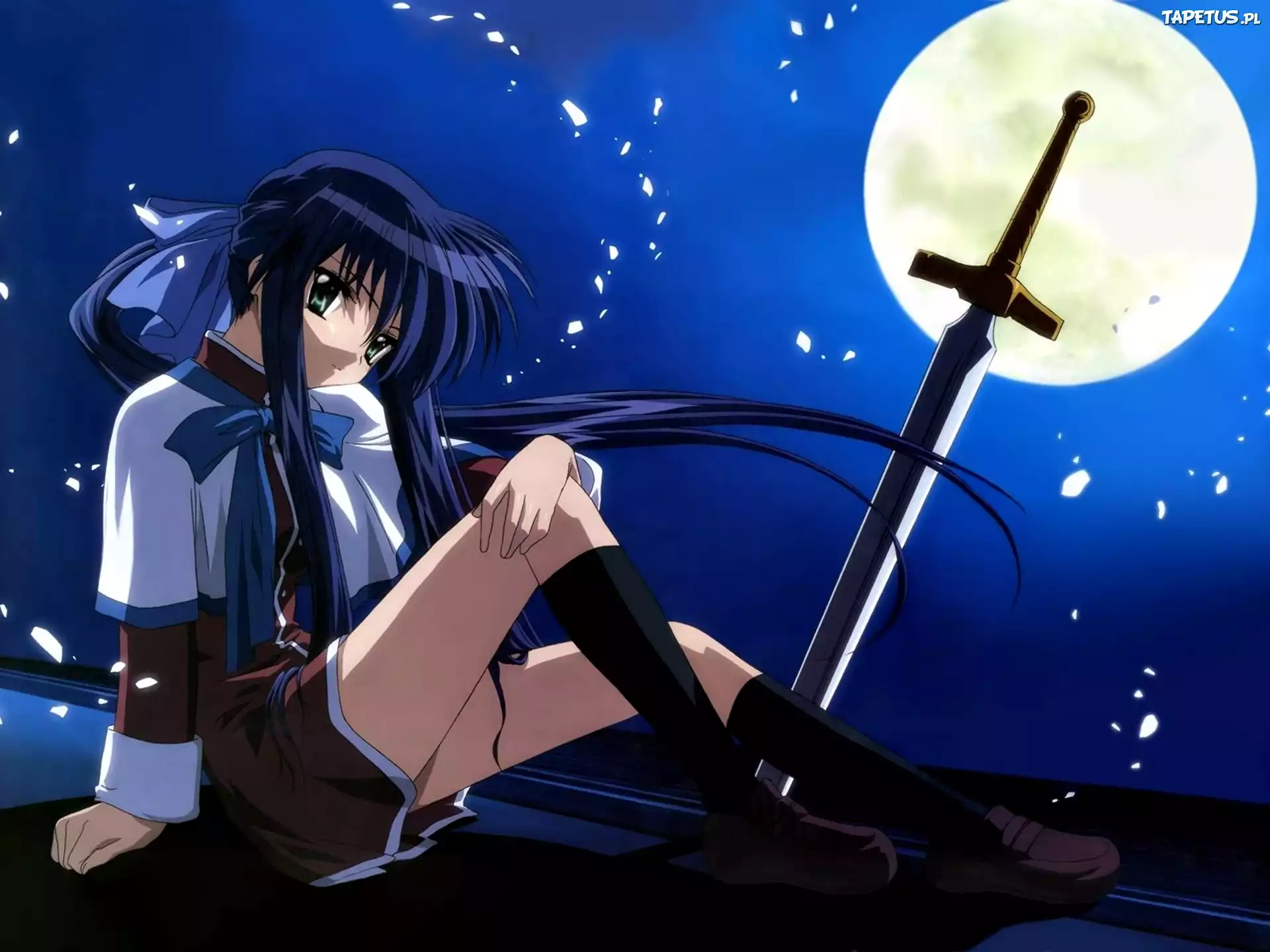 Anine, Sword Art Online