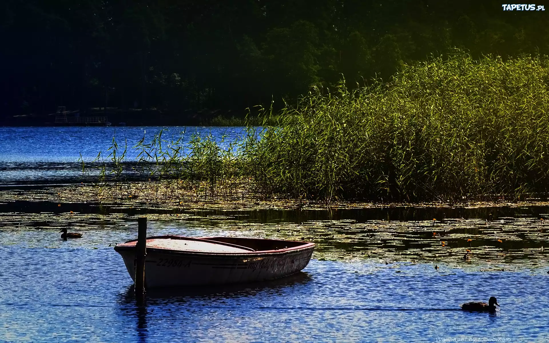 Jezioro, Gołdopiwo, Mazury