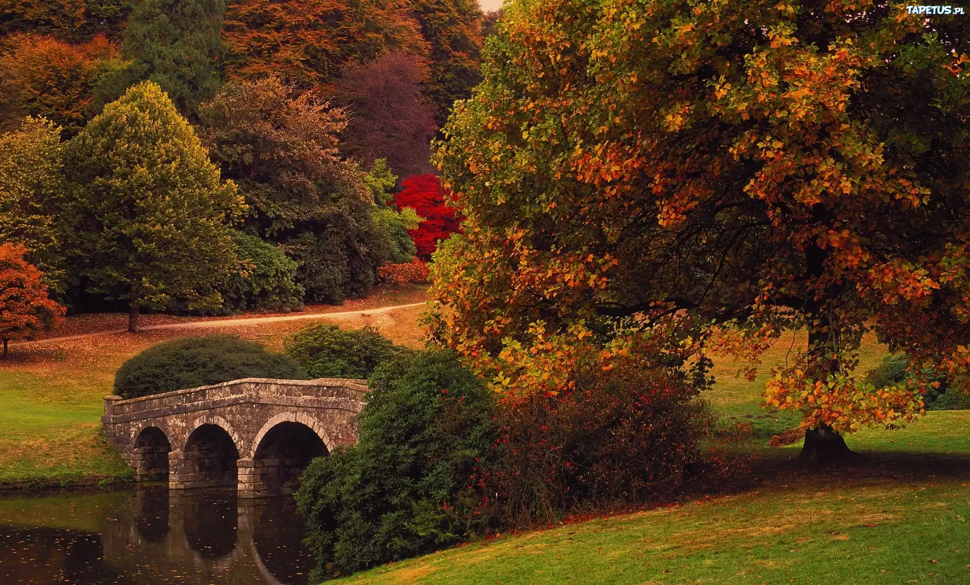Park, Rzeka, Most, Drzewa, Jesień