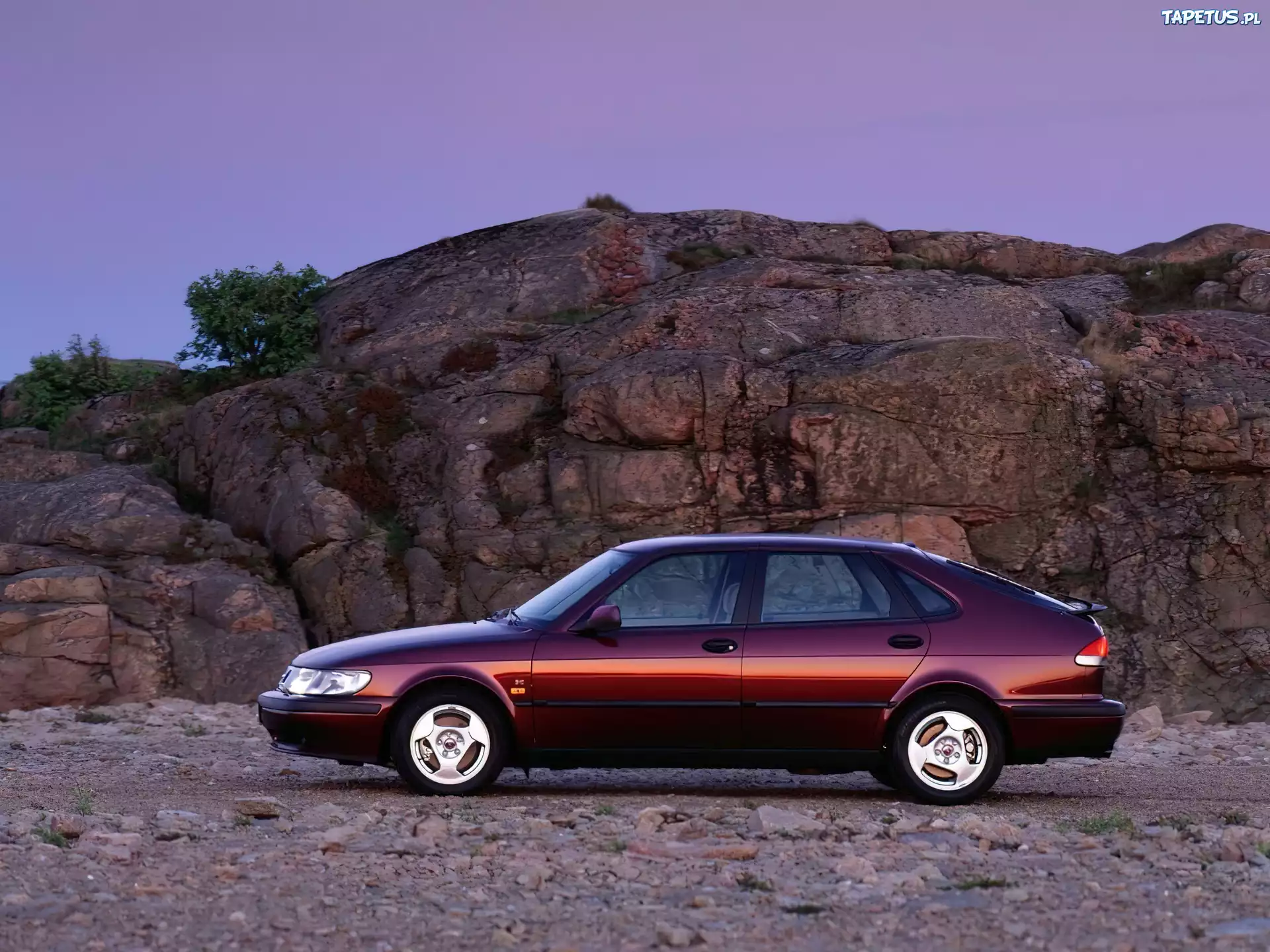 Saab 9-3, Śliwkowy