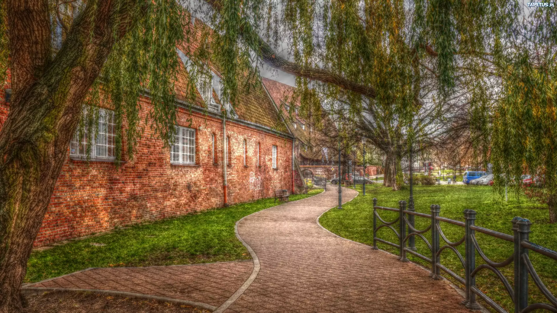 Alejka, Budynek, Drzewo, HDR