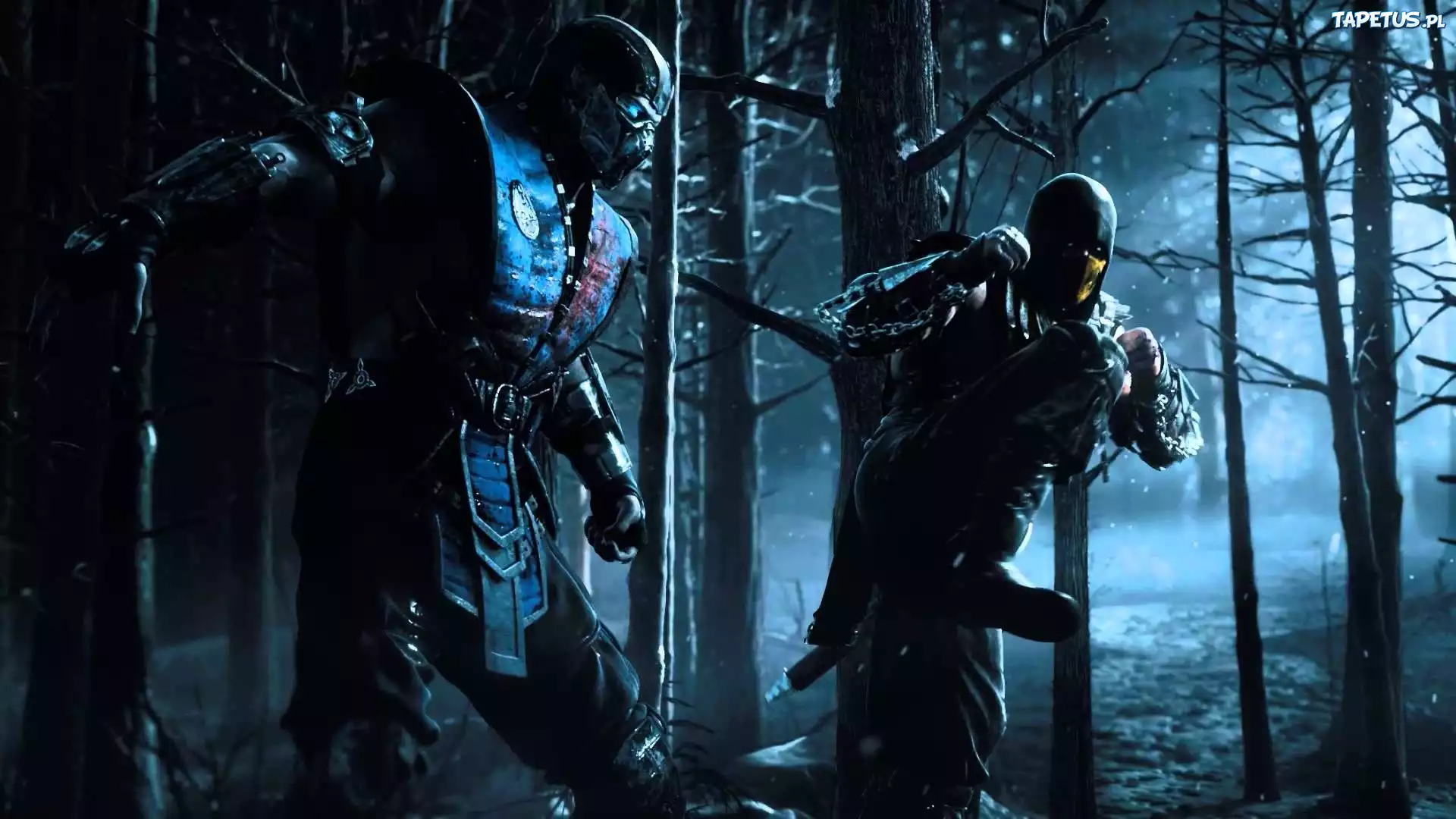 Mortal Kombat X, Scorpion, Sub Zero