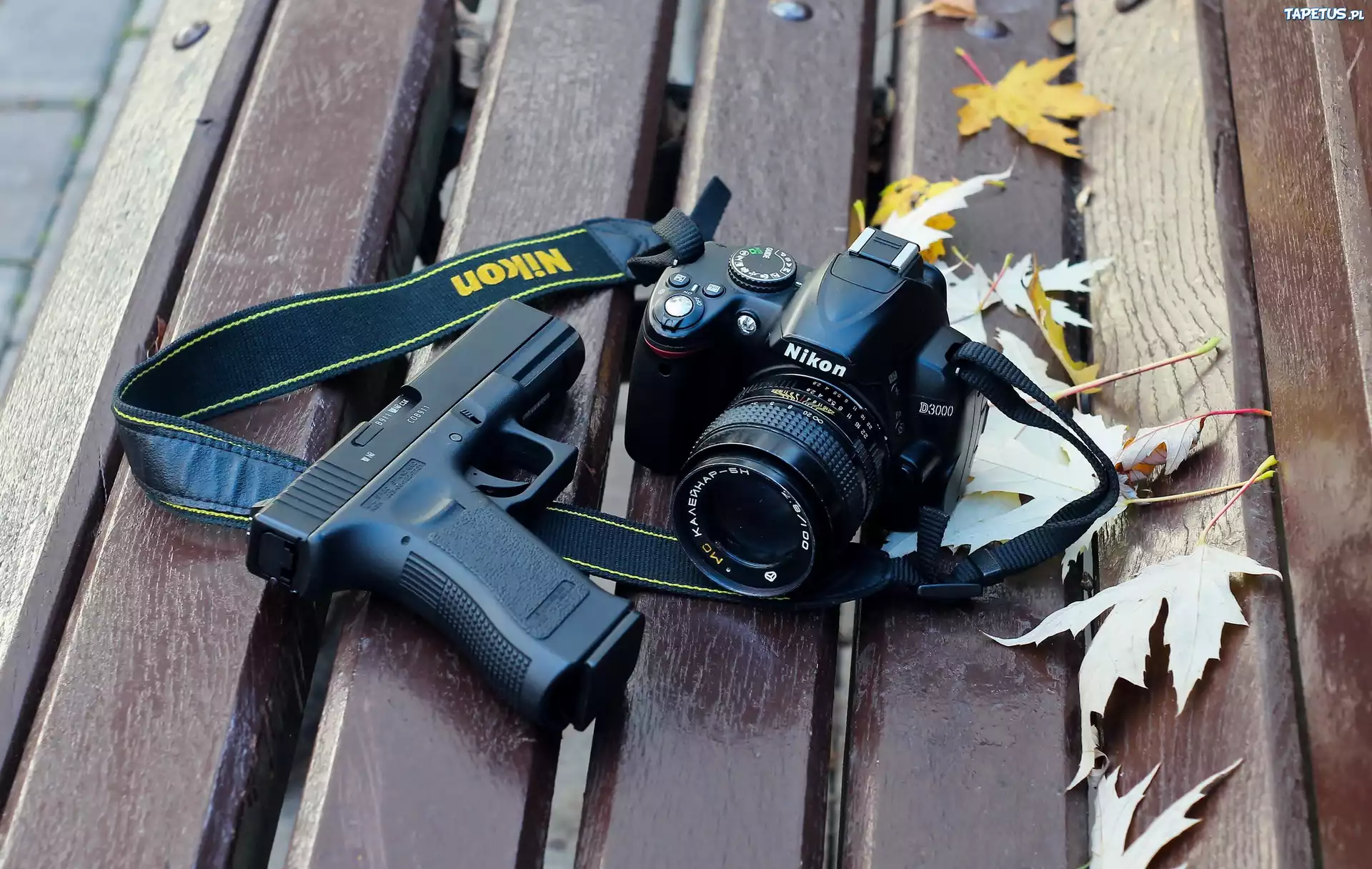 Aparat, Fotograficzny, Pistolet, Liście, Ławka, Park