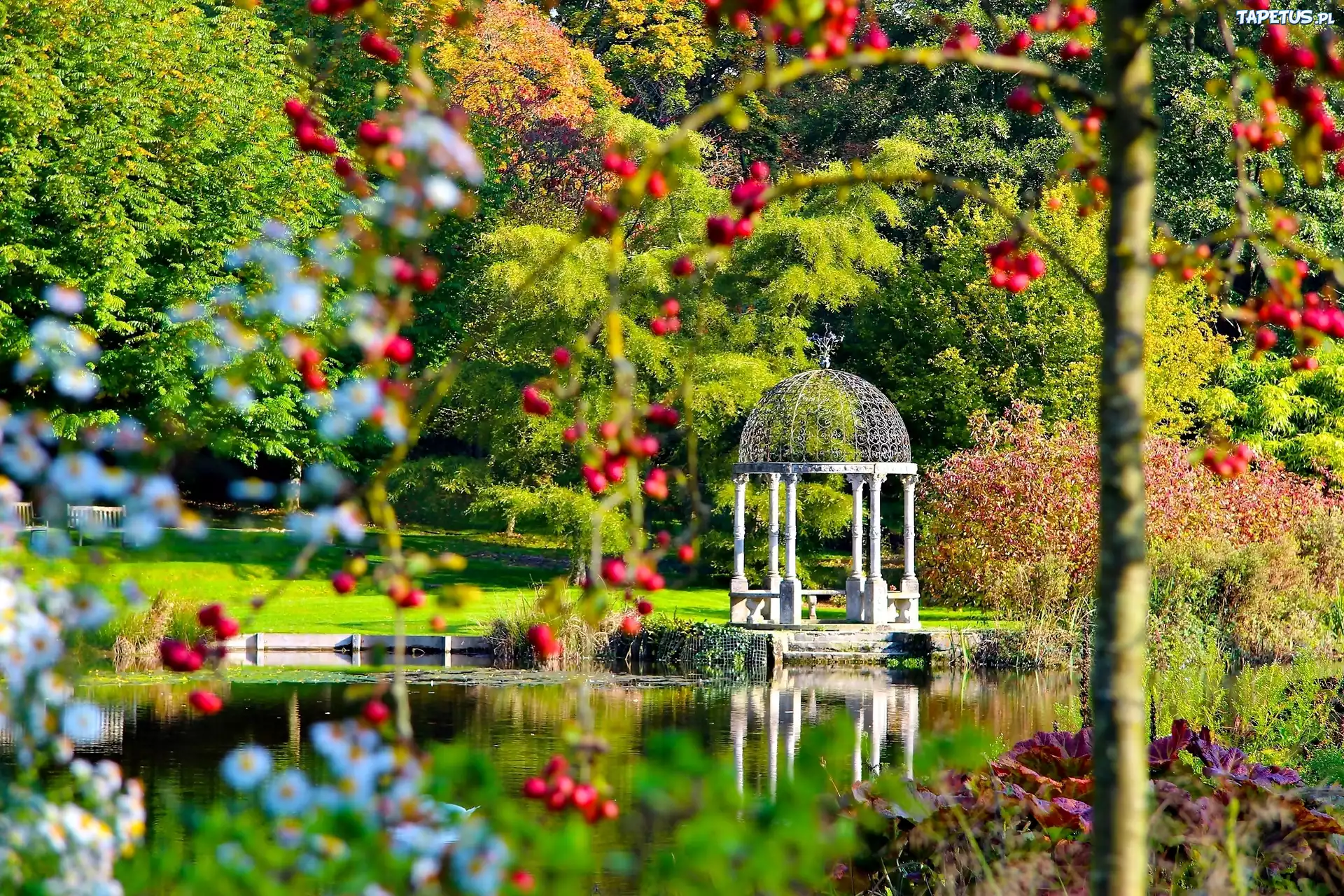 Park, Staw, Altana