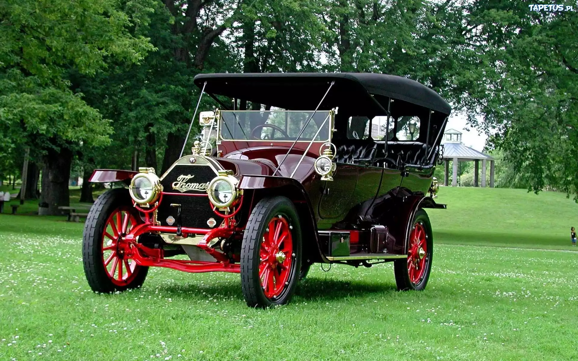 Samochód, Zabytkowy, Thomas, Flyer 1912, Trawa, Drzewa