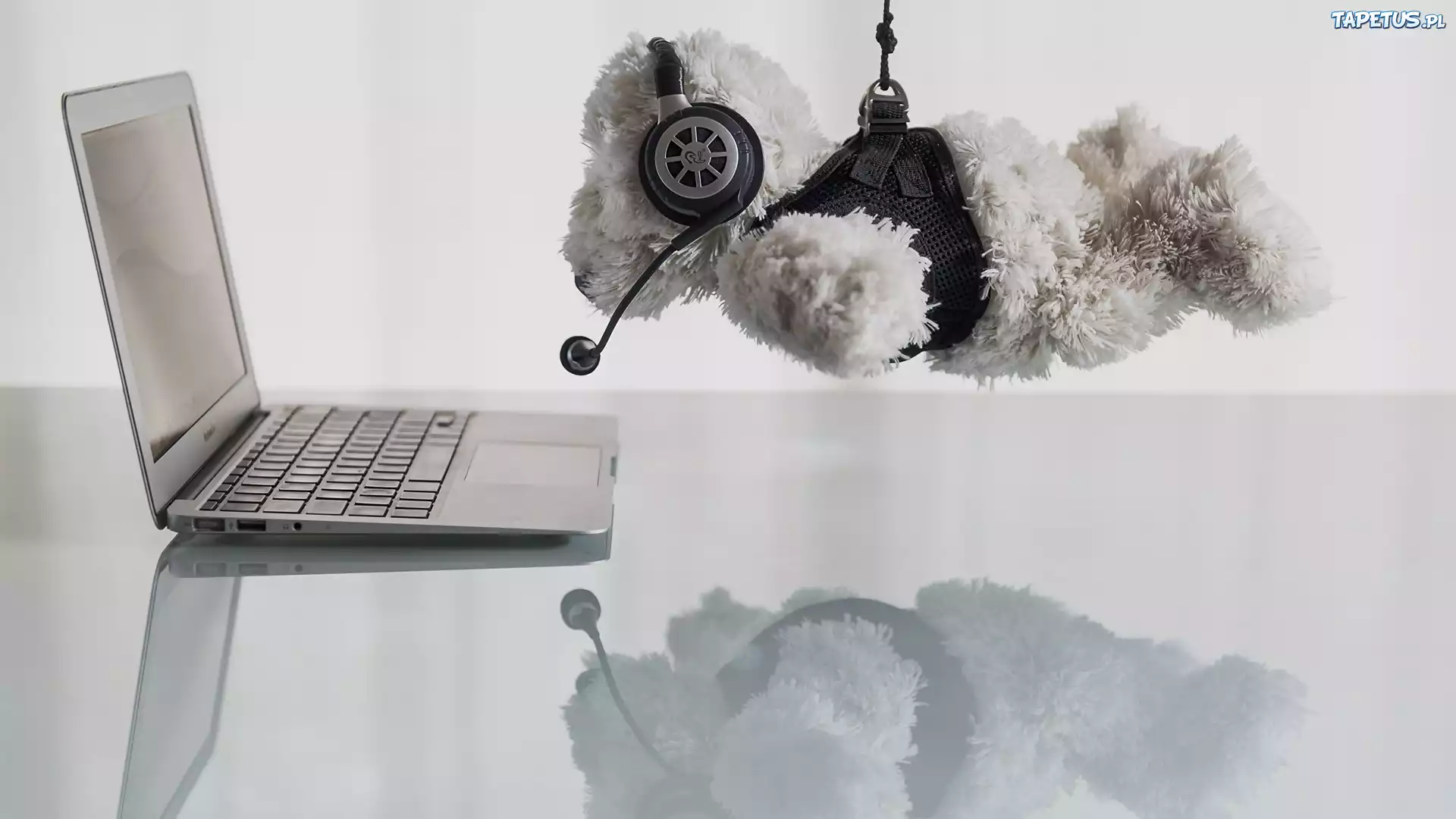 Laptop, Misiu, Zabawka