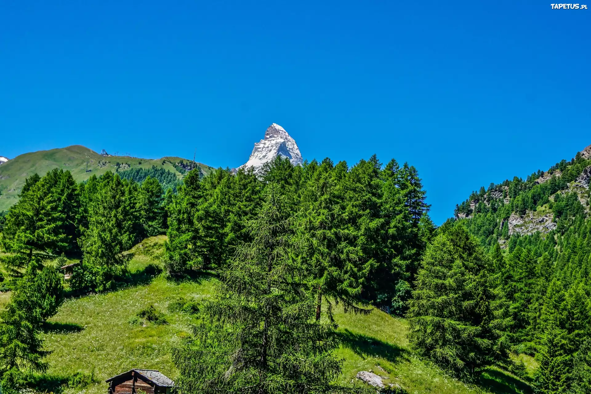Góry, Las, Łąka, Szopy, Szczyt, Matterhorn, Szwajcaria