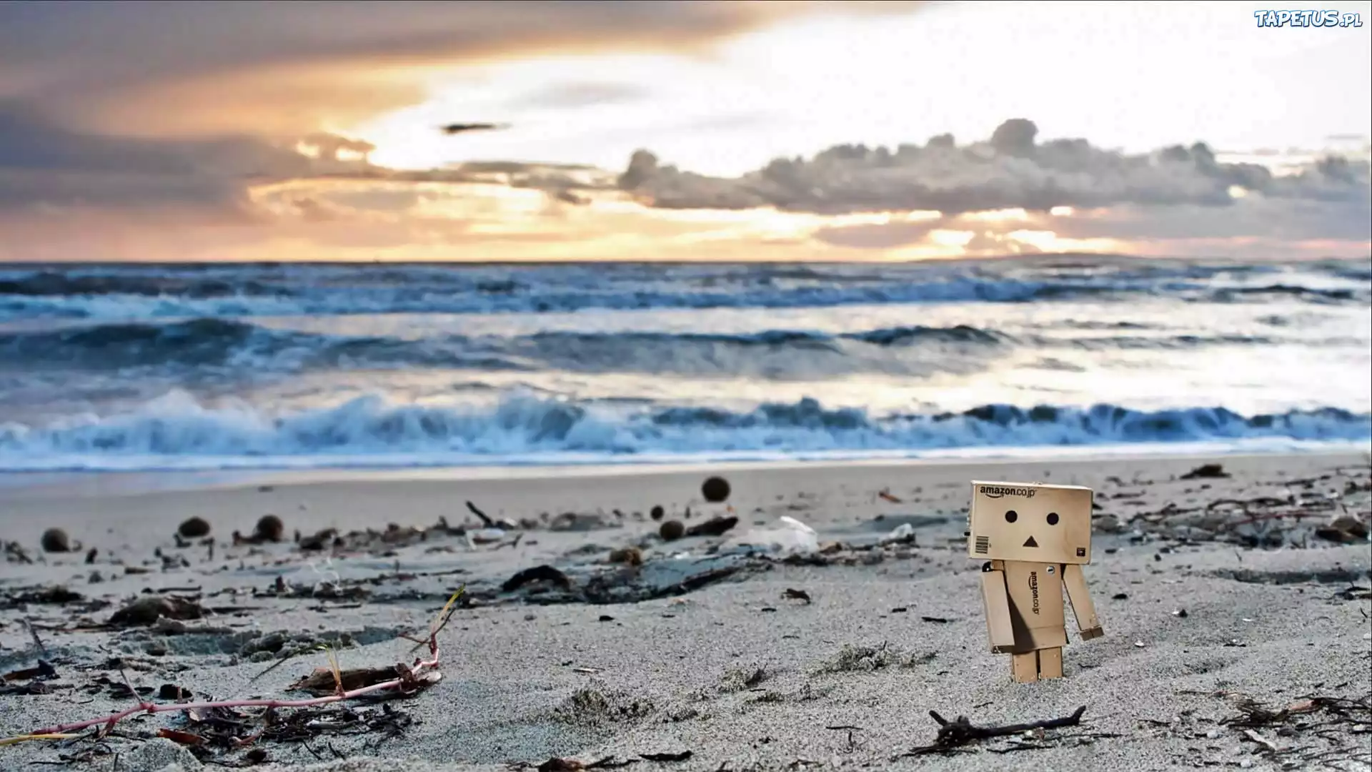 Danbo, Morze, Plaża, Chmury, Przebijające, Światło, Rozmycie