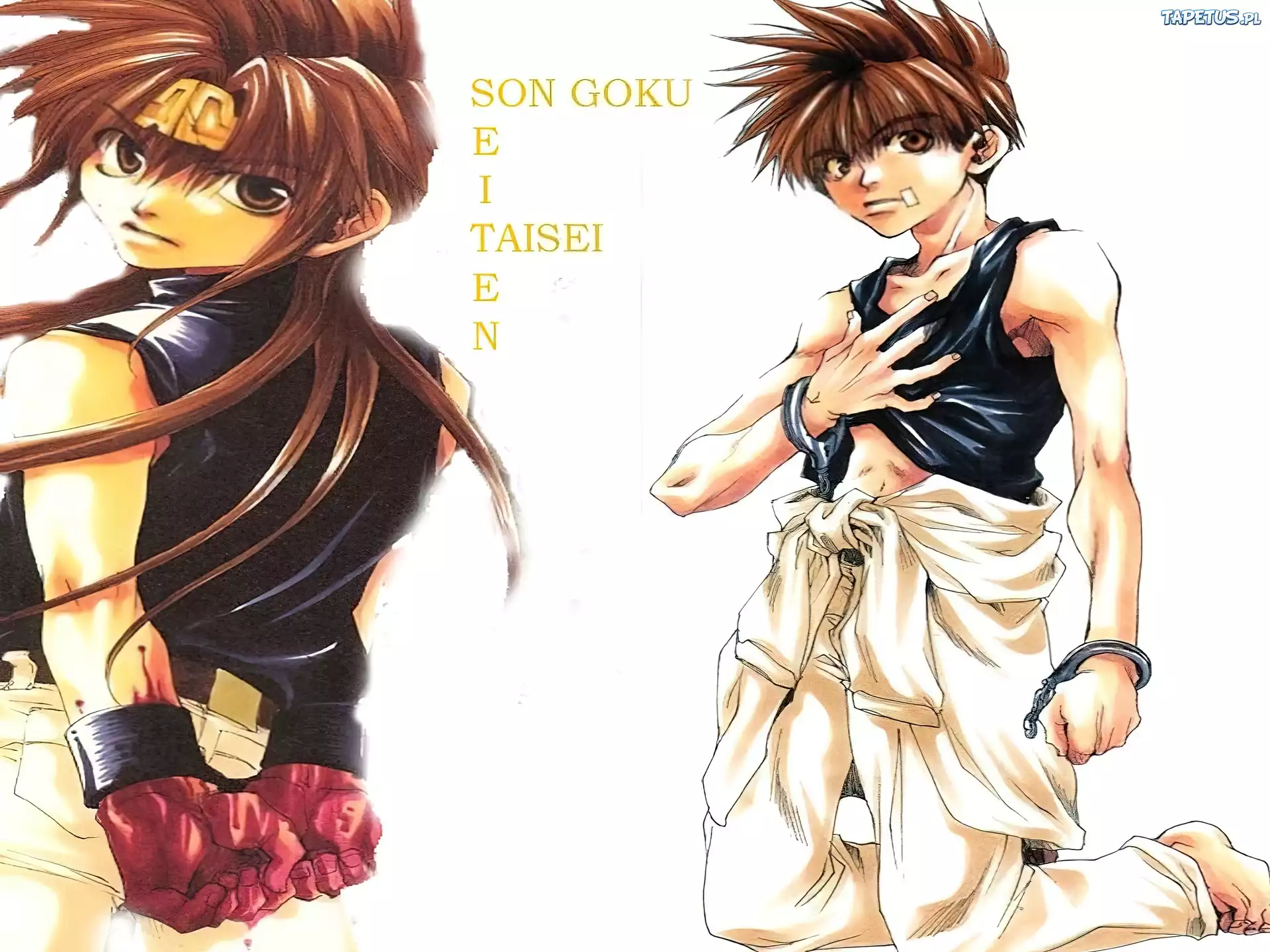 son goku