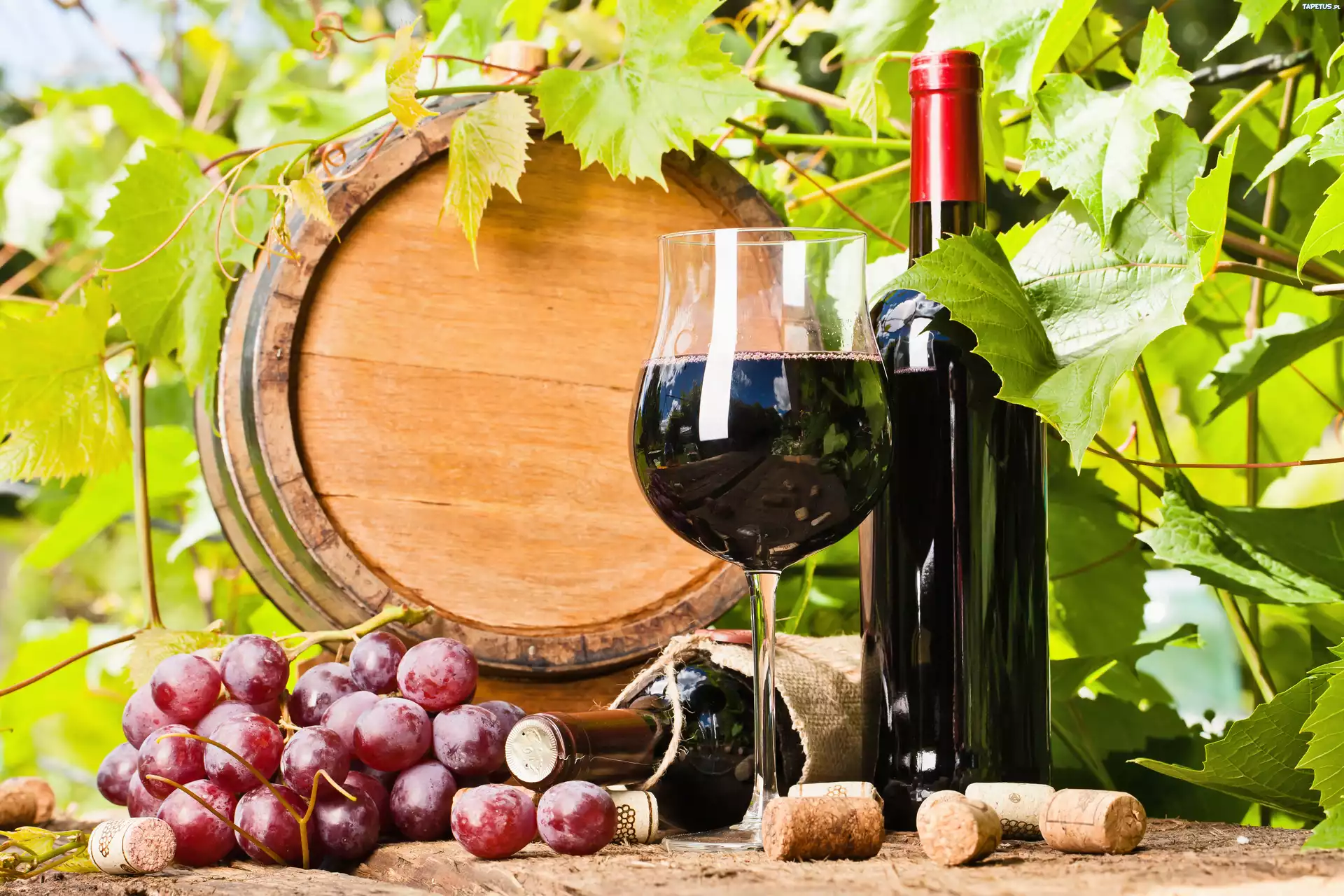 И реки полные вина. Вино и виноград. Виноградарство и виноделие. Бутылка вина. Виноградники вино.