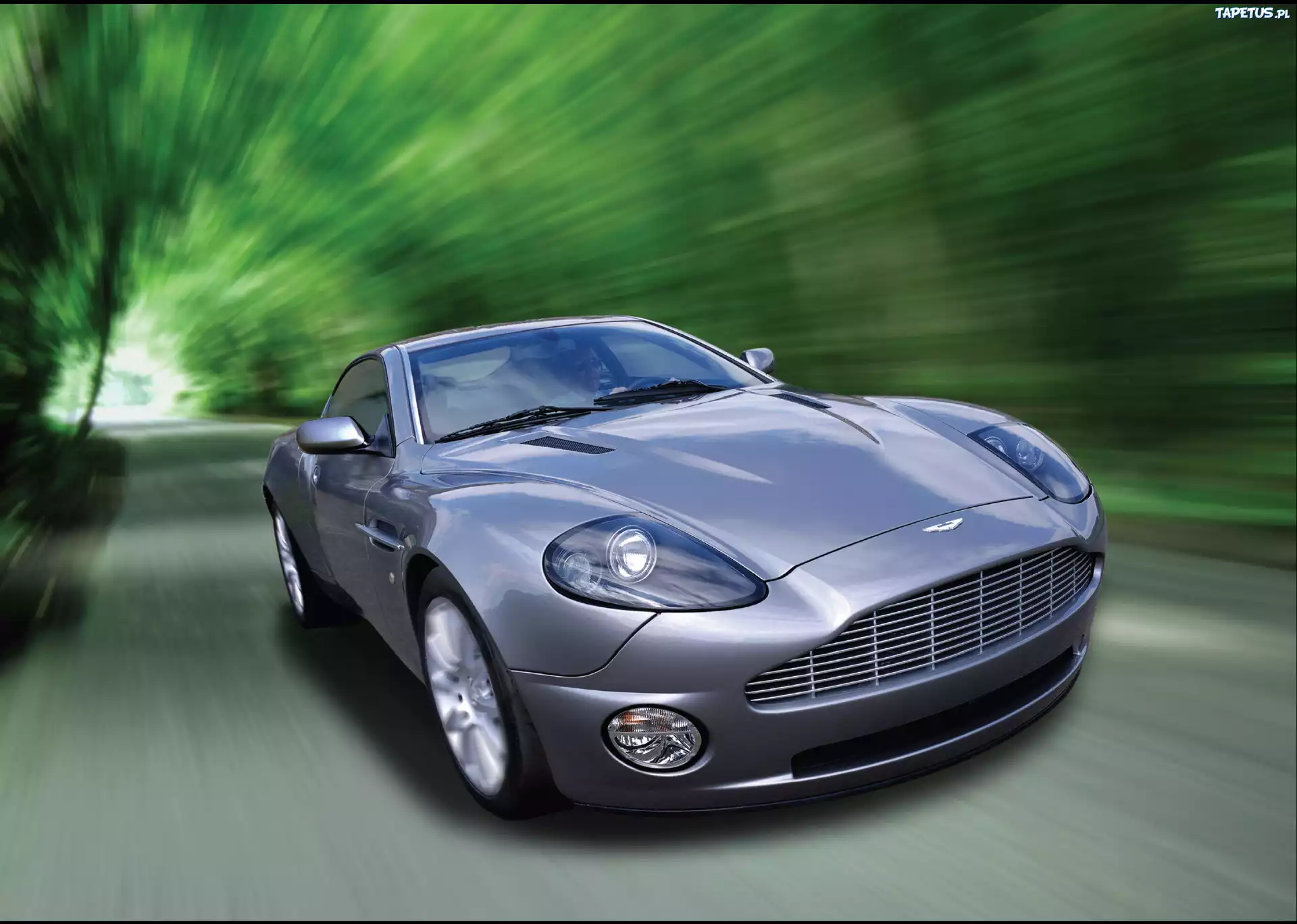 Aston Martin, Ulica, Drzewa