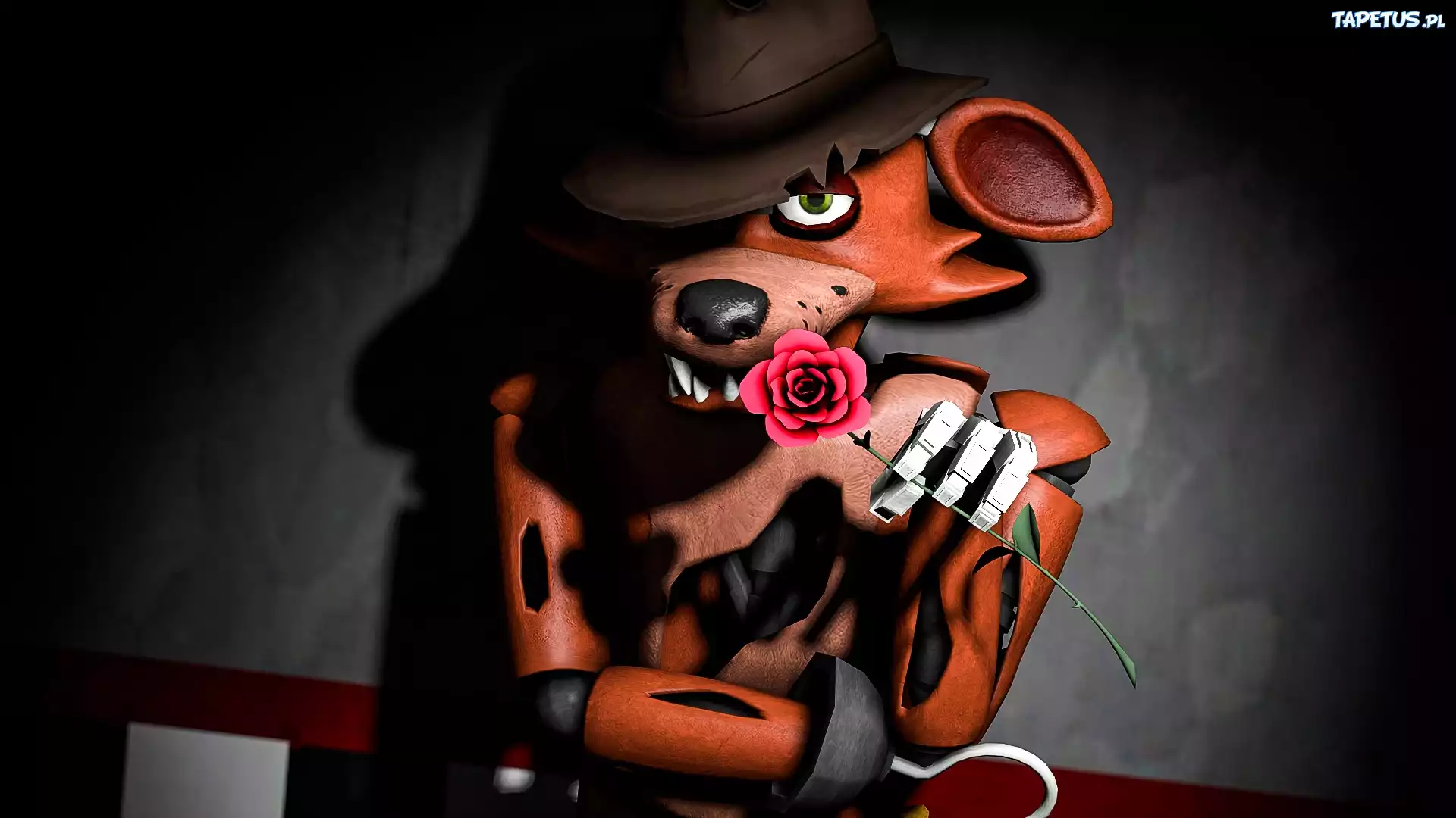 Fnaf, Foxy, Pirat, Fox, Róża