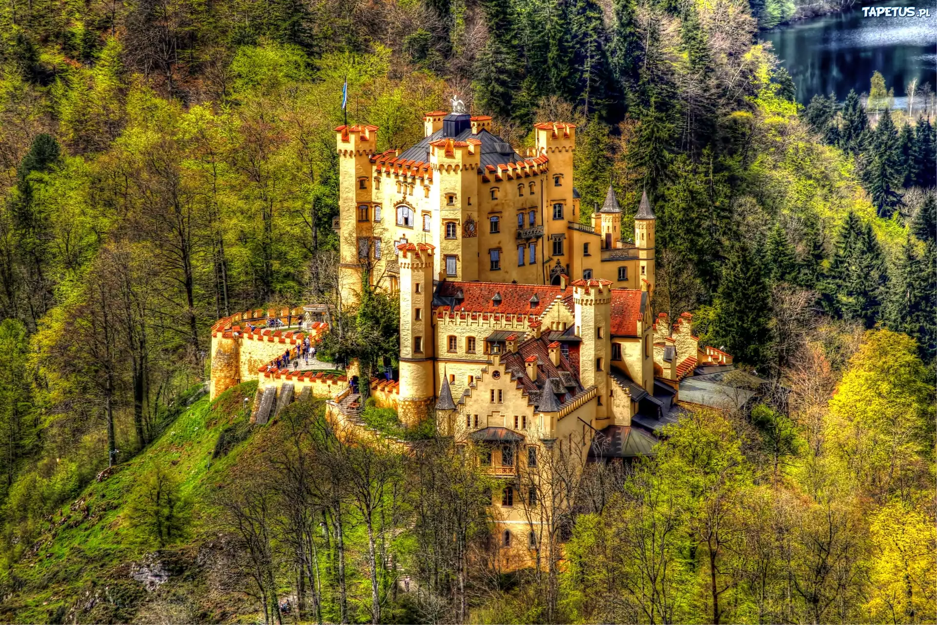 Góry, Las, Zamek, Bawaria