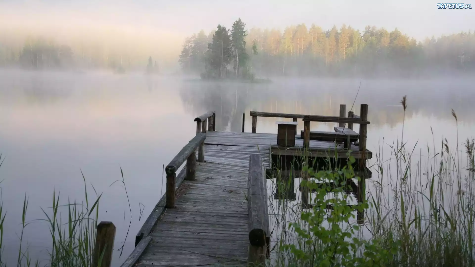 Jezioro, Mgła, Drewniane, Molo, Trawy