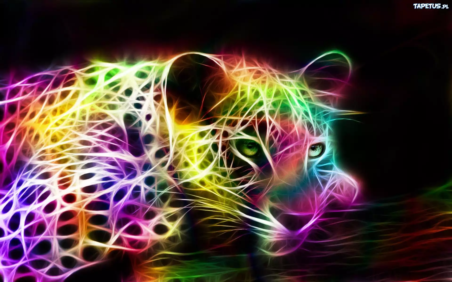 Kolorowe, Jaguar, Fractalius, Grafika