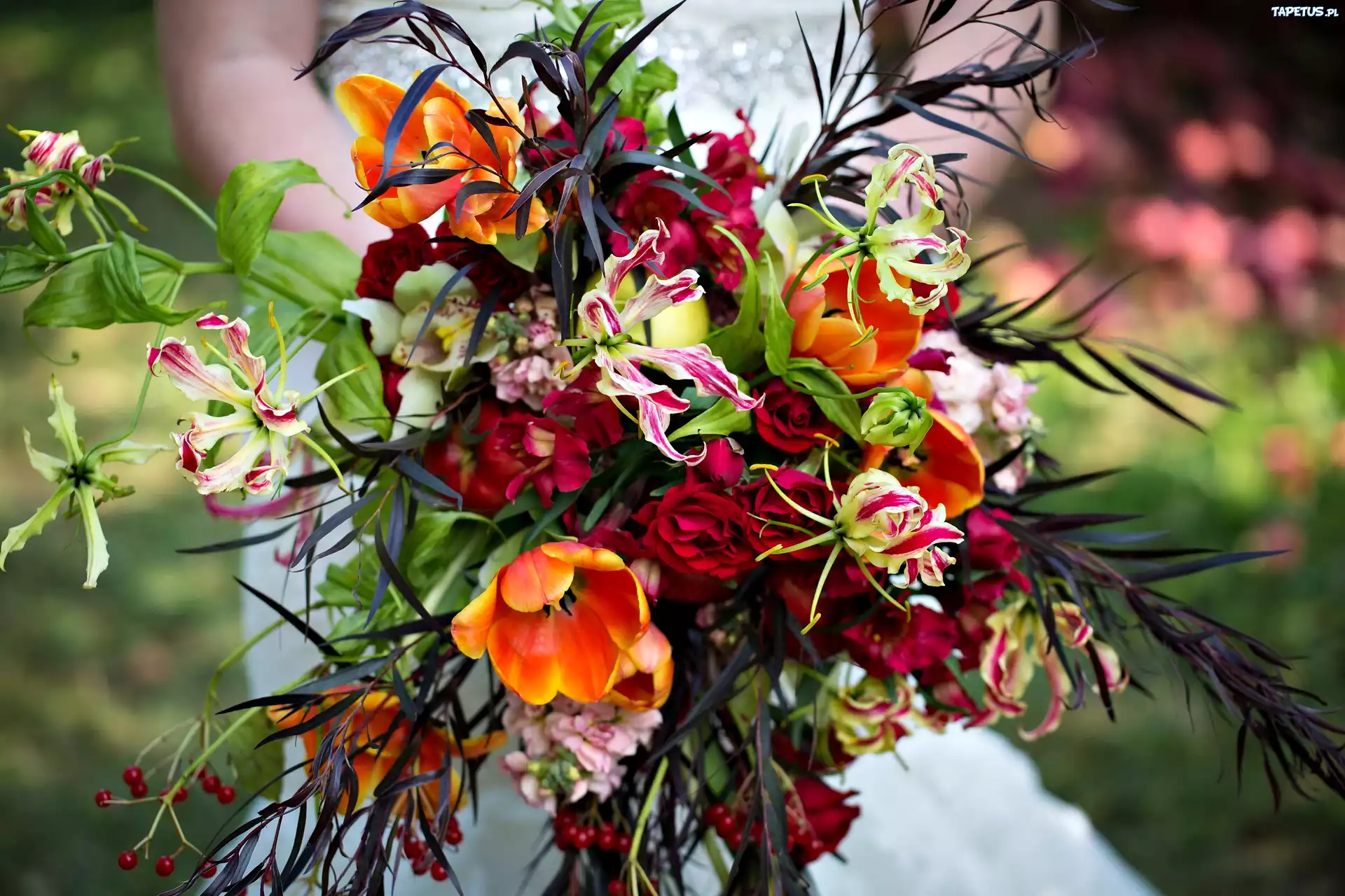 Bukiet Kwiatów, Róża, Tulipany, Orchidea, Alstroemeria