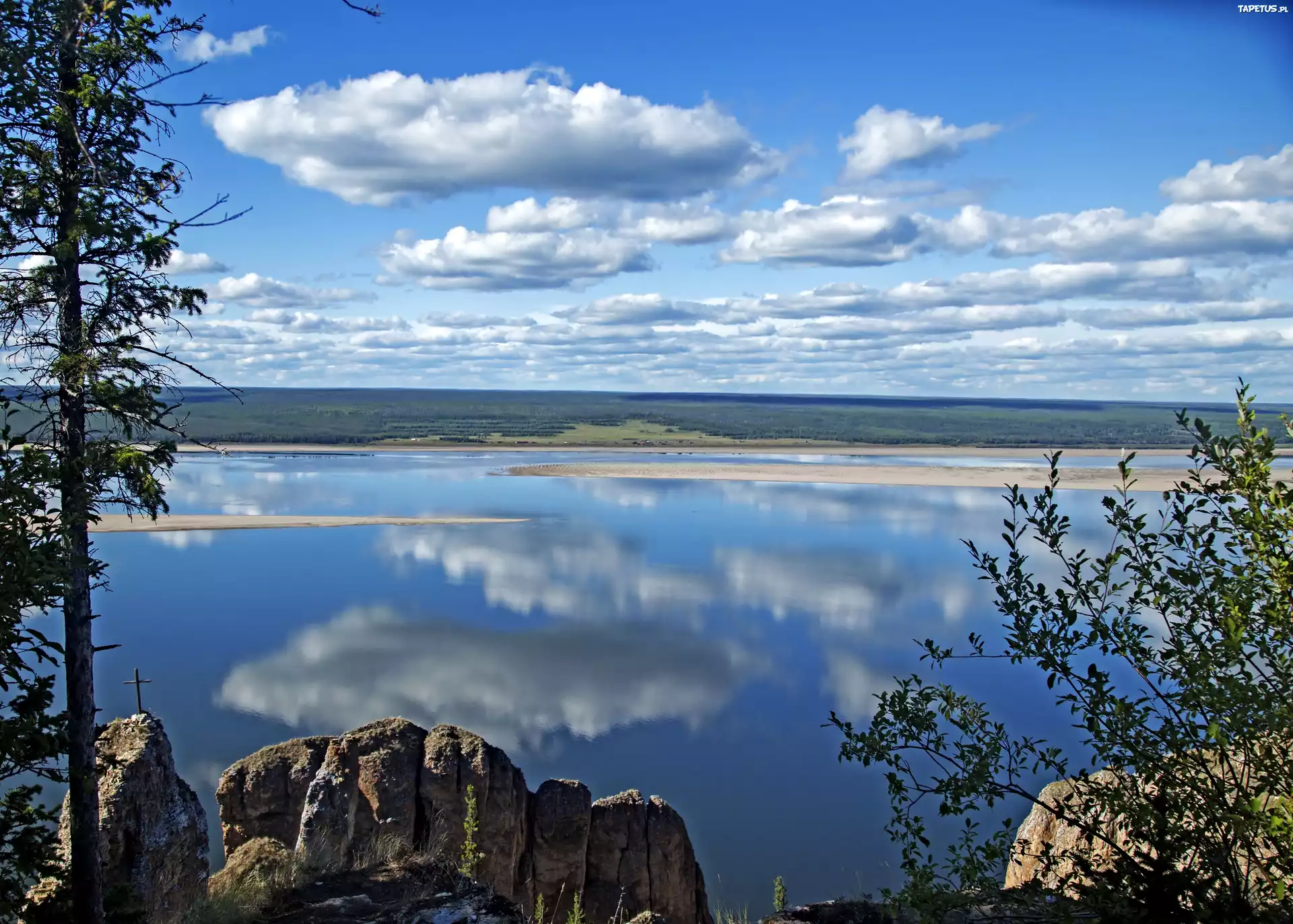Jezioro, Drzewa, Skały