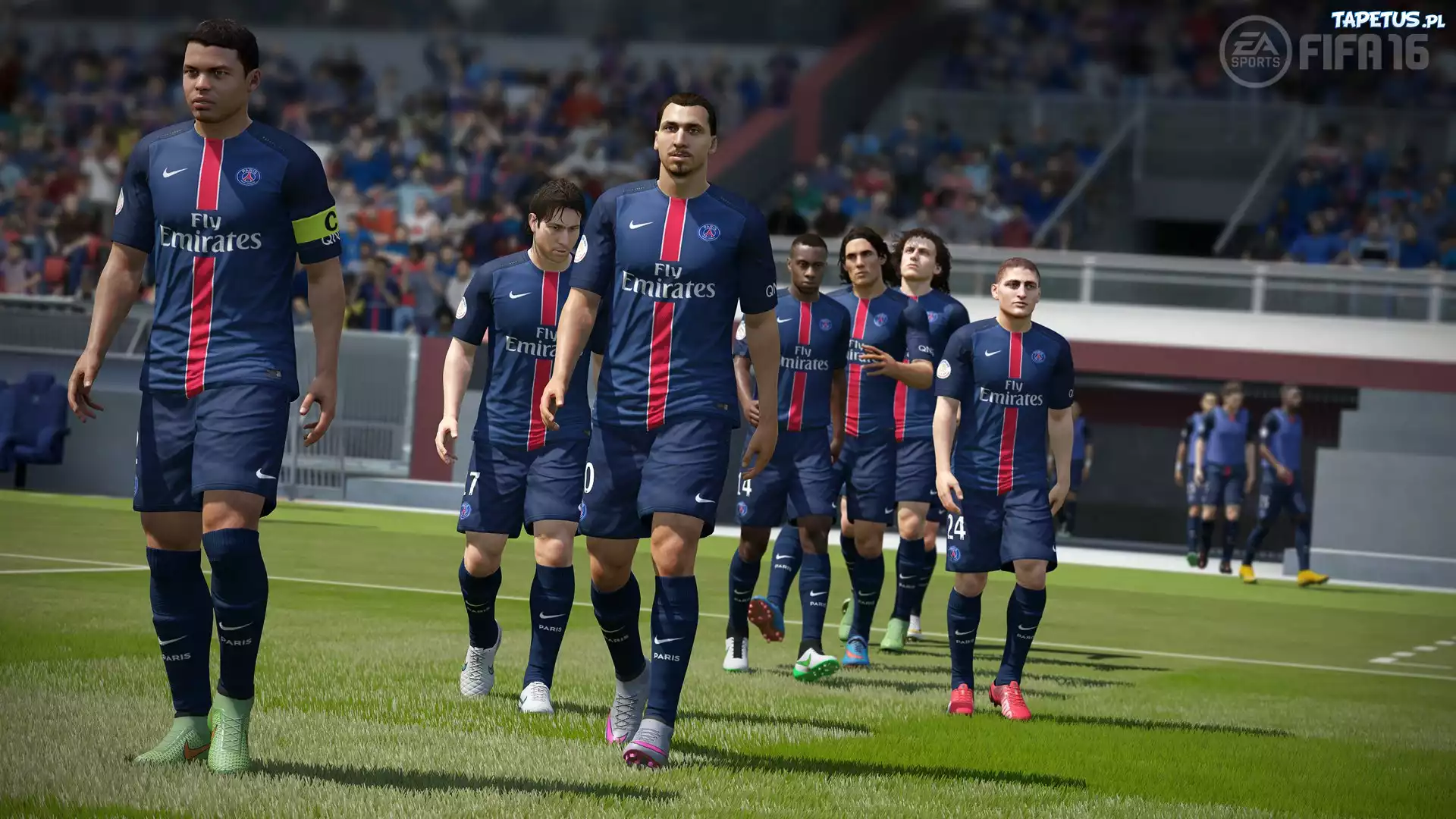 Fifa 16, Zawodnicy, Murawa