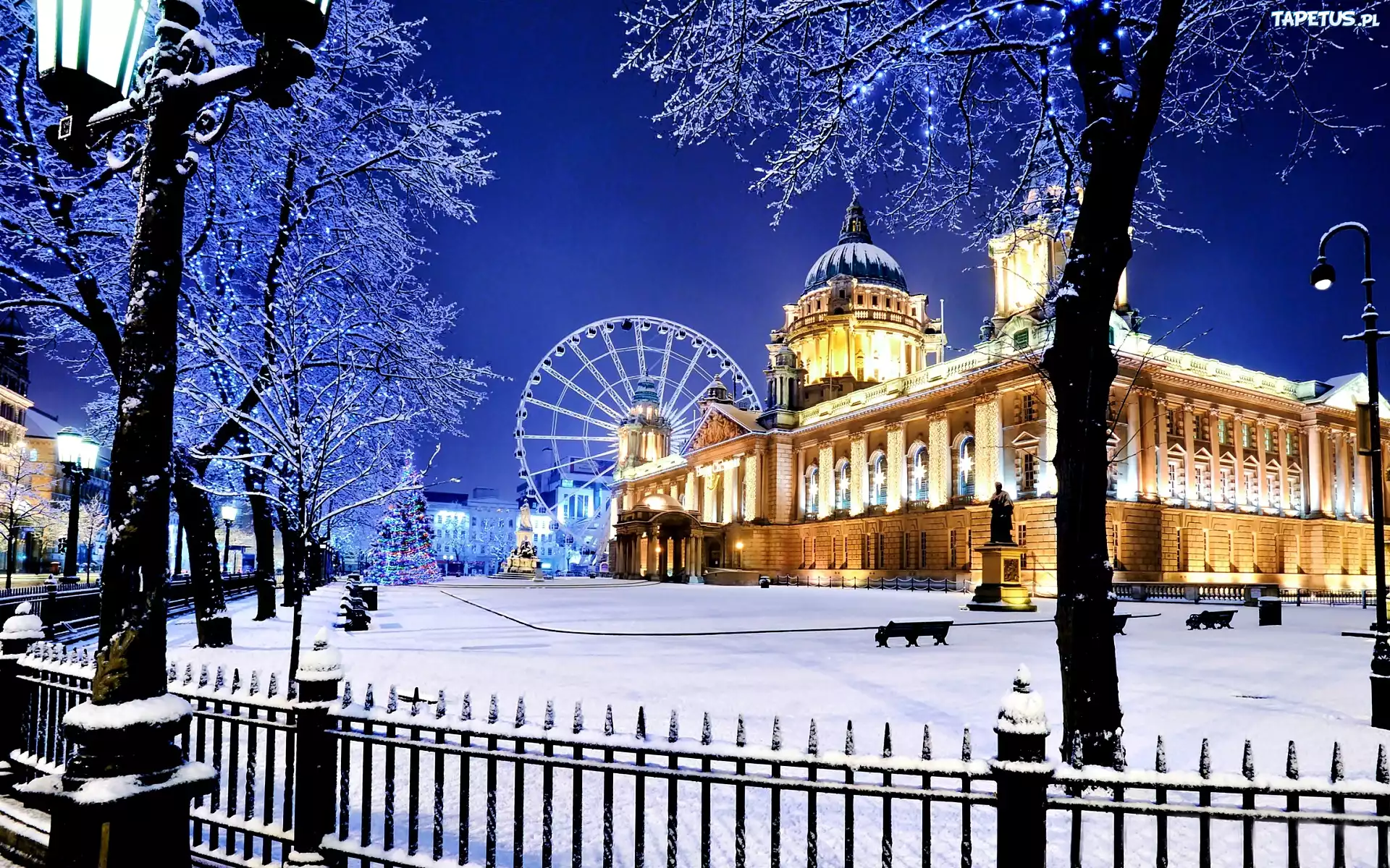 Irlandia, Belfast, Ratusz, Zabytek, Zima