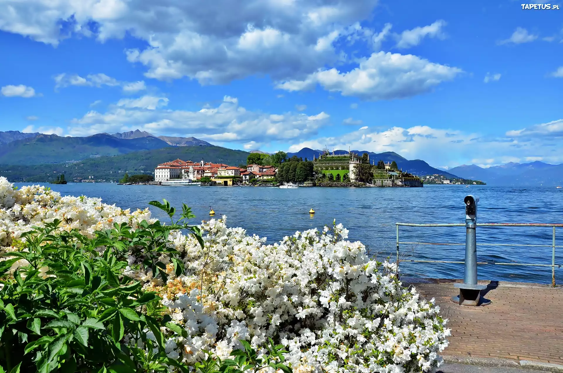 Jezioro, Maggiore, Obłoki, Panorama, Miasteczka, Azalie