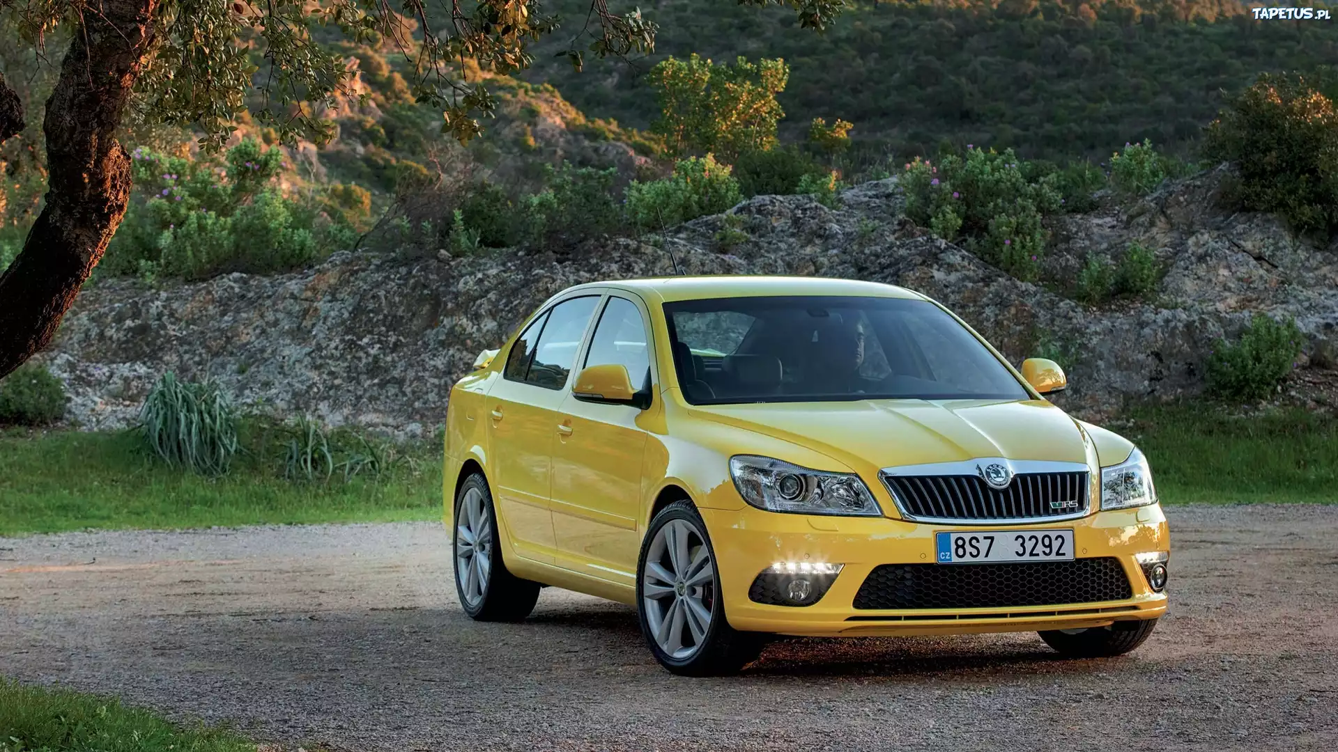Skoda, Octavia, RS, Skała, Rośliny, Drzewo