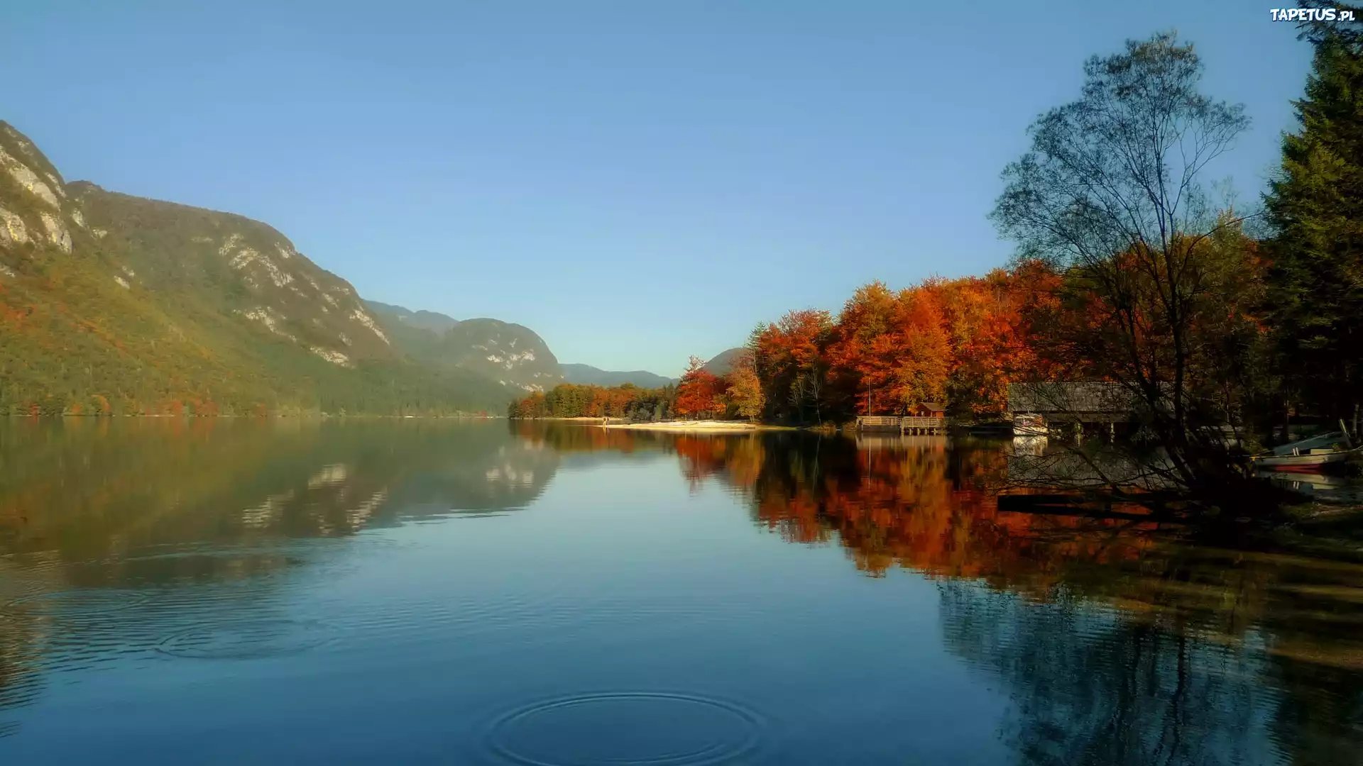 Jezioro Bohinj, Słowenia, Jesień, Odbicie