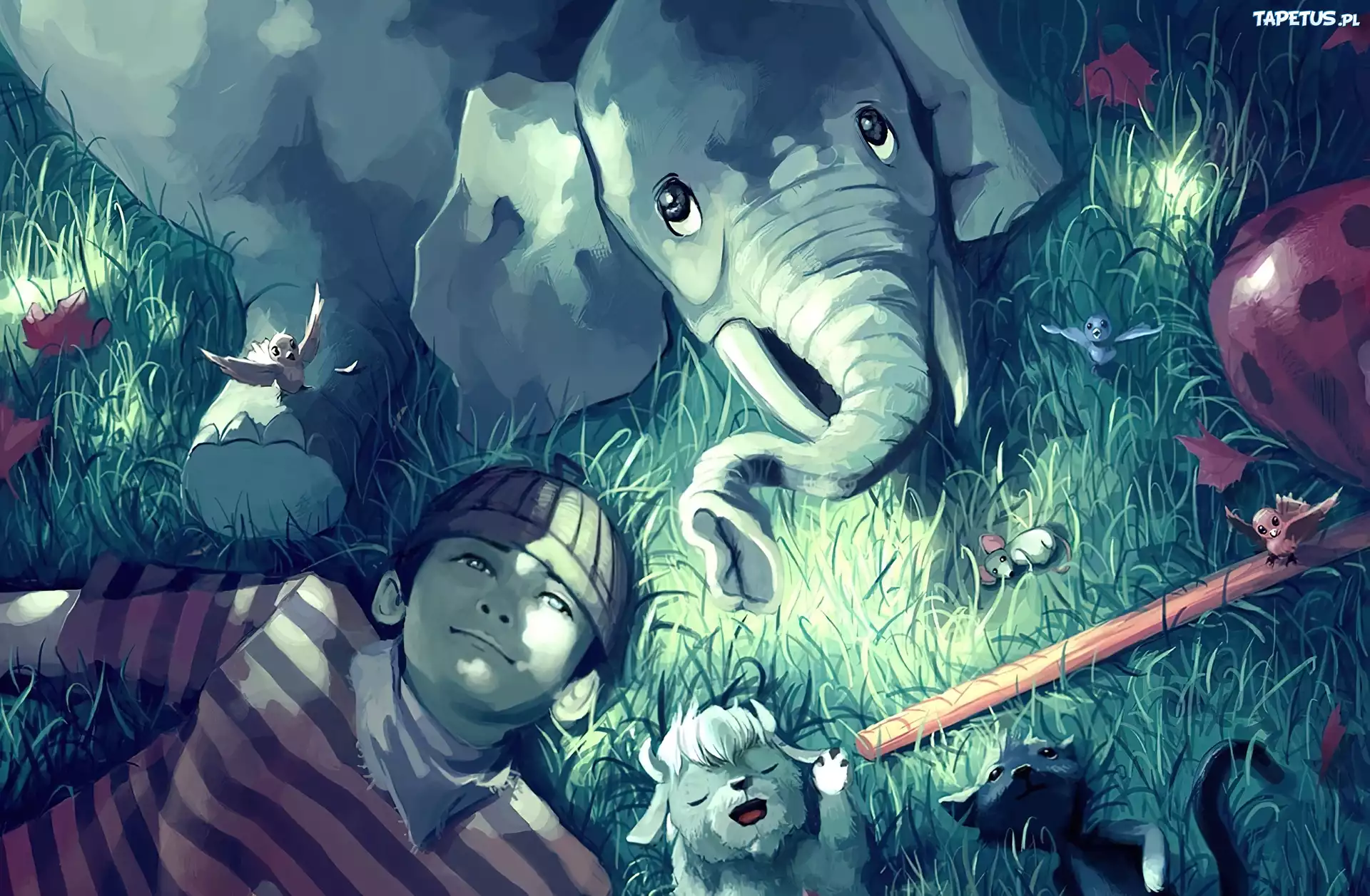 Cyril Rolando, Chłopiec, Słoń
