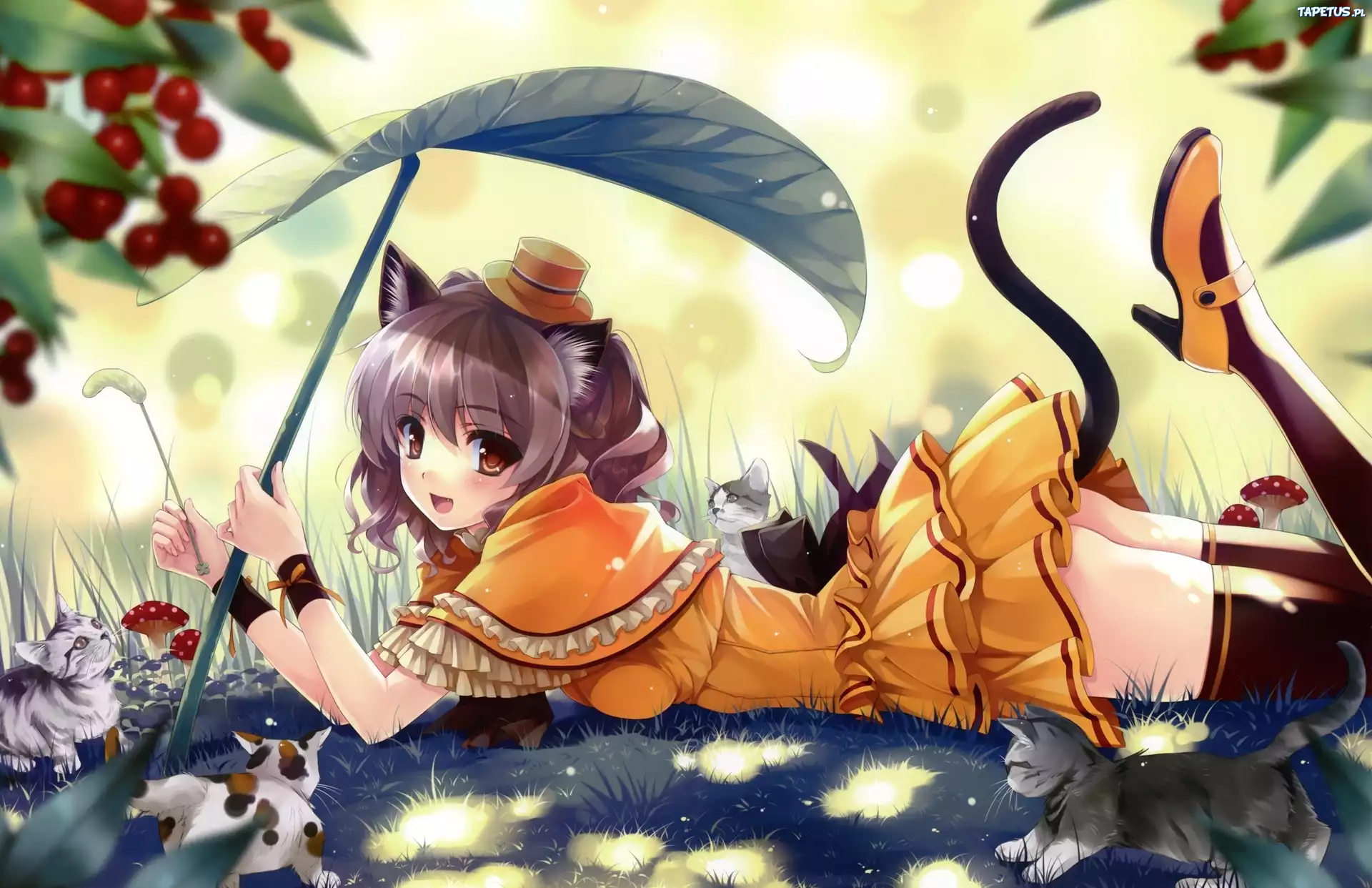 Dziewczyna, Koty, Liść, Polana, Manga, Anime