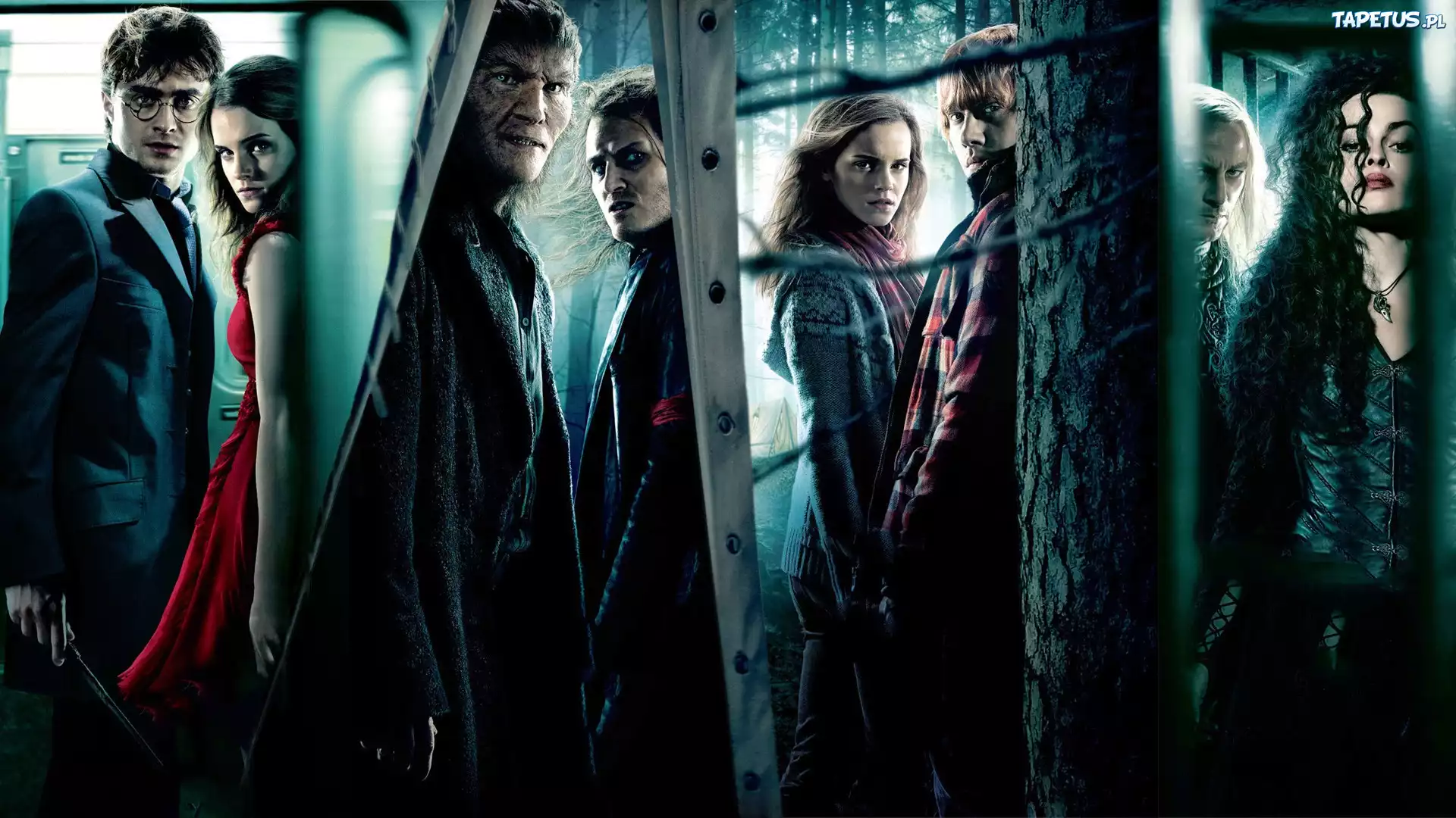 Harry, Potter, Bohaterowie