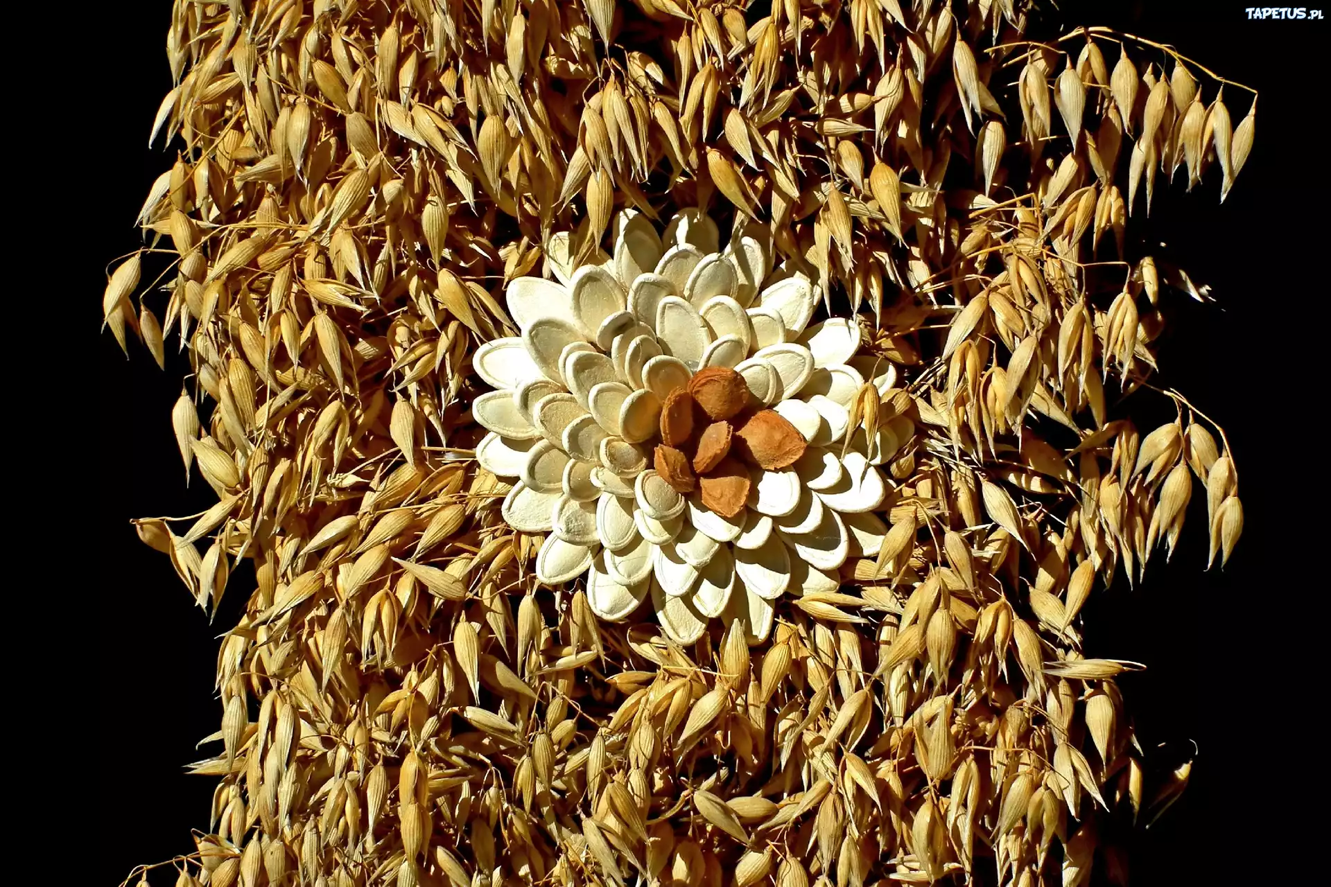 Dekoracja, Dożynki, Owies, Pestki