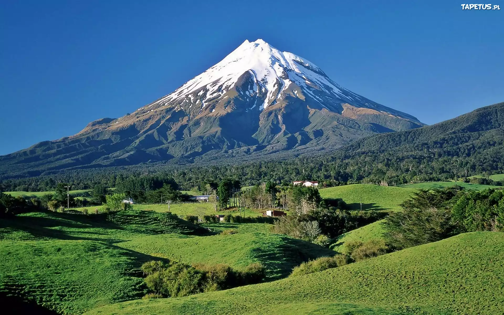 Wulkan, Taranaki, Lasy, Łąki, Domy