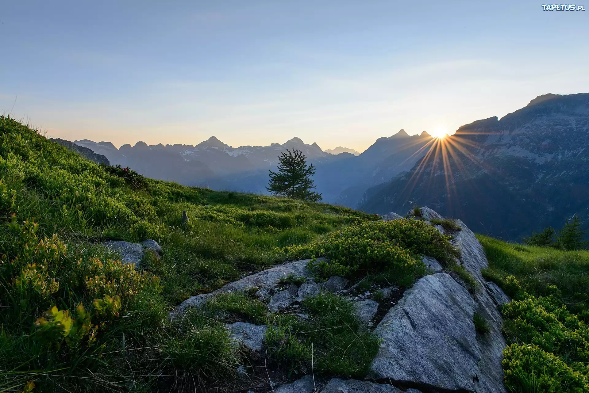 природа солнце деревья трава скалы горы nature the sun trees grass rock mountains бесплатно